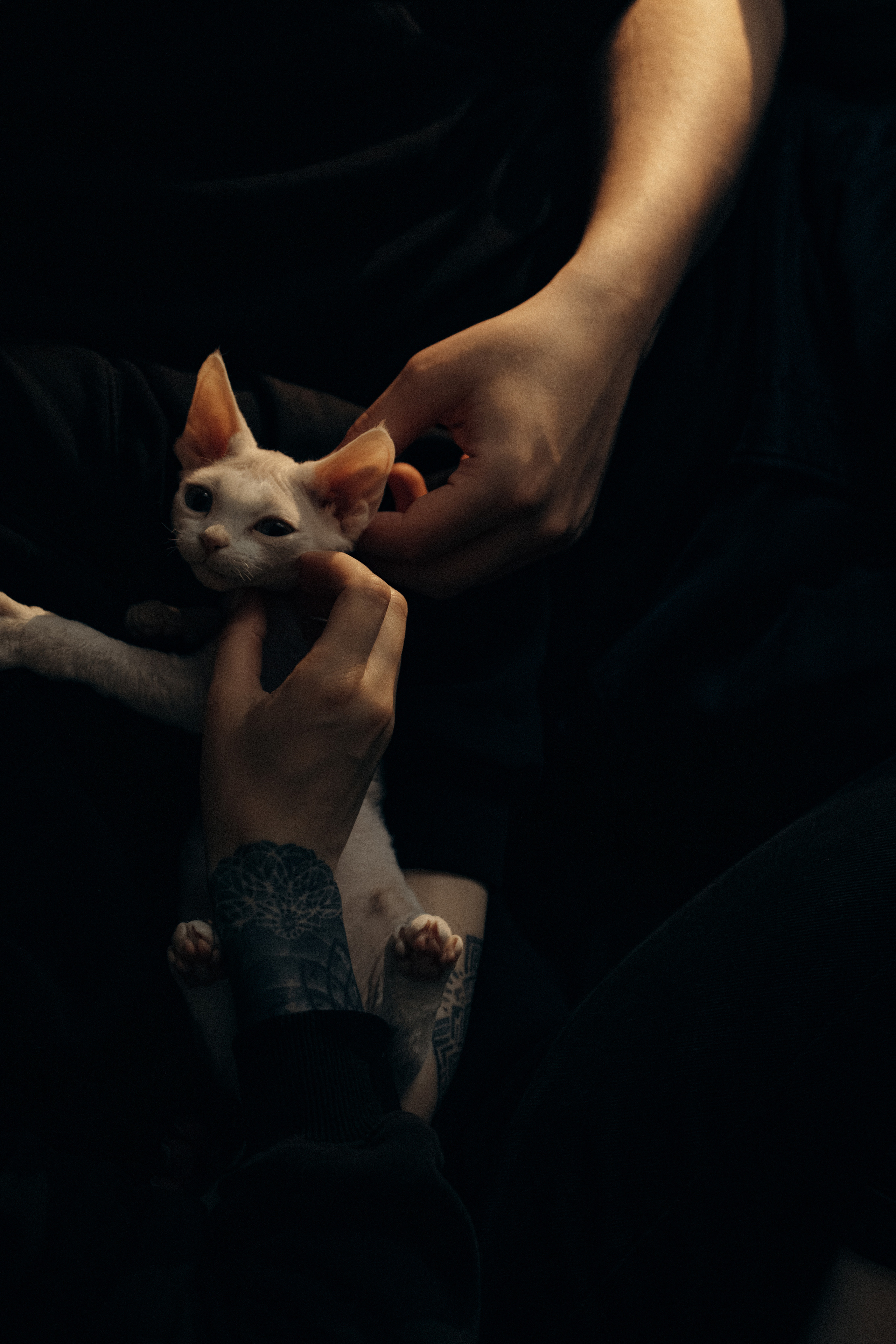 Этери, Саша и Эвия. Фотораф — анималист Мария Шистка