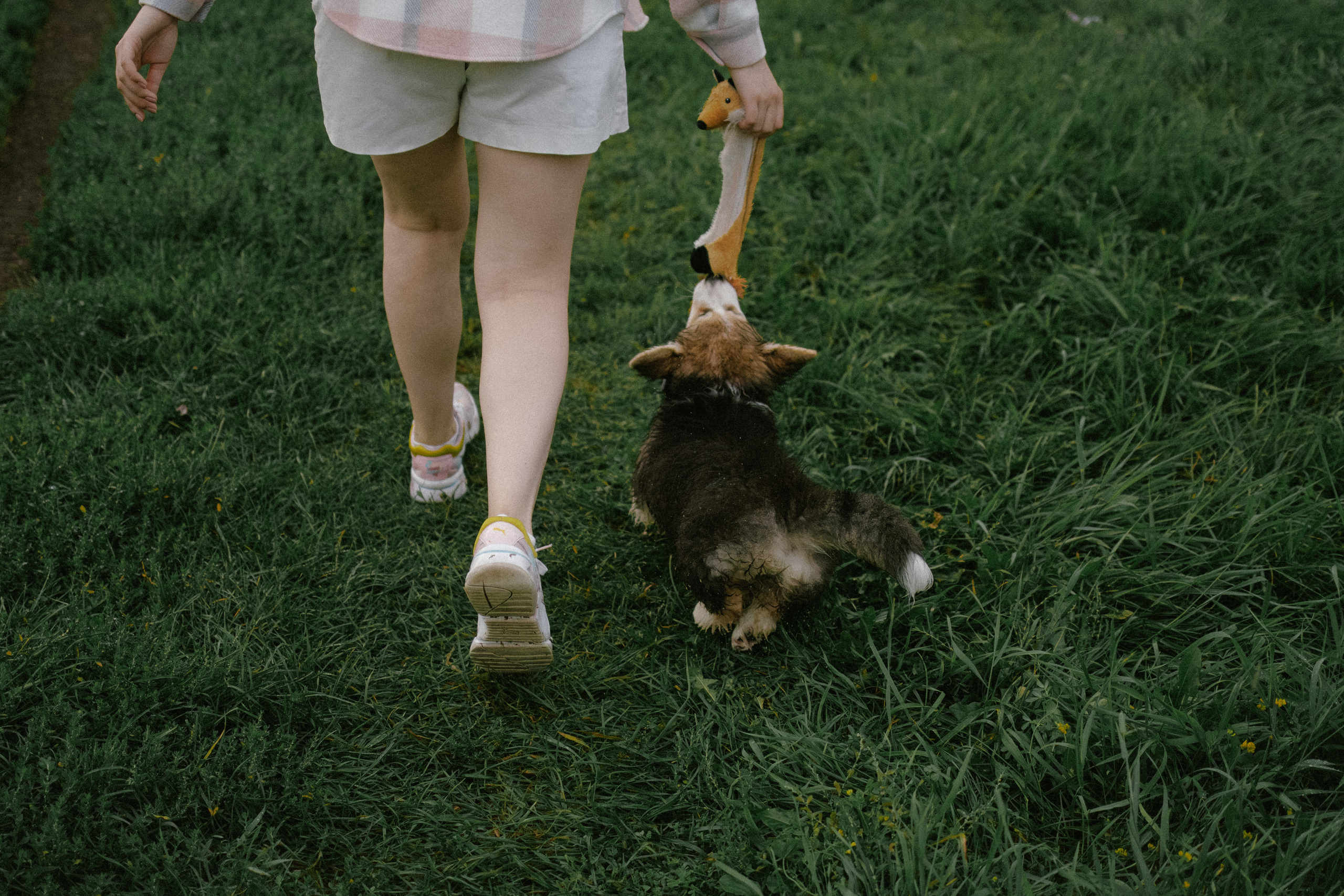 Влада и Мишель. Фотораф — анималист Мария Шистка