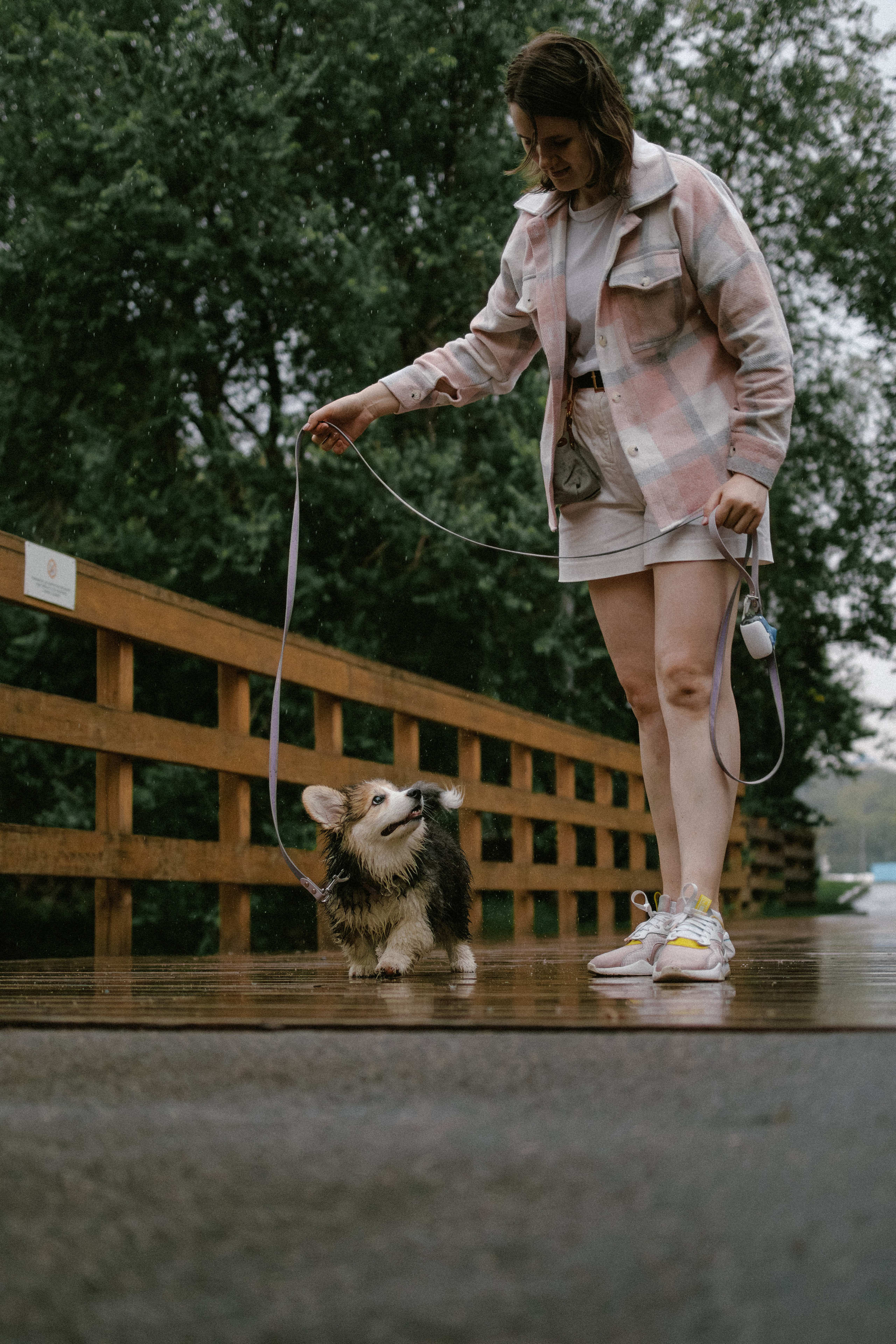 Влада и Мишель. Фотораф — анималист Мария Шистка