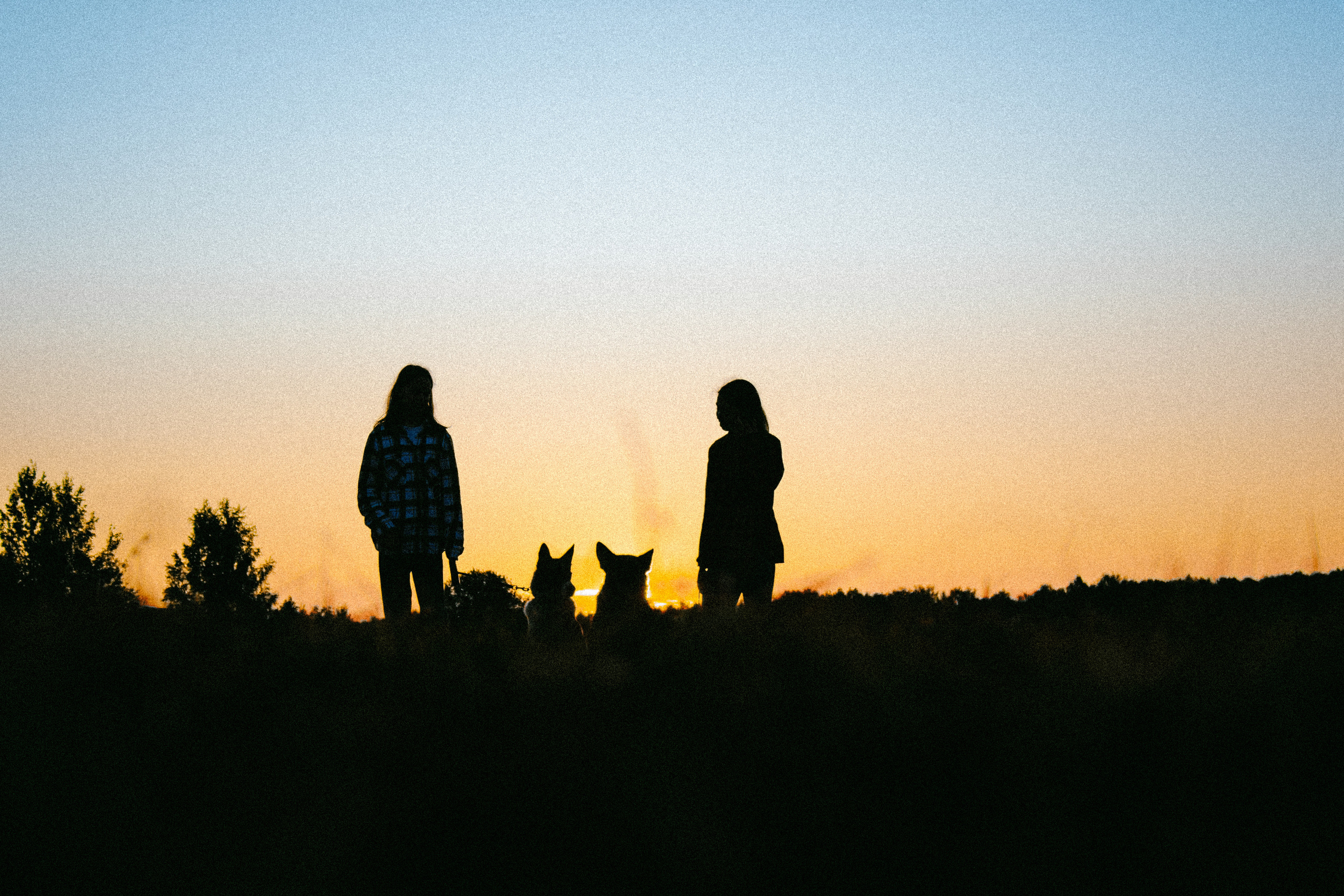 Девочки и рассвет. Фотораф — анималист Мария Шистка