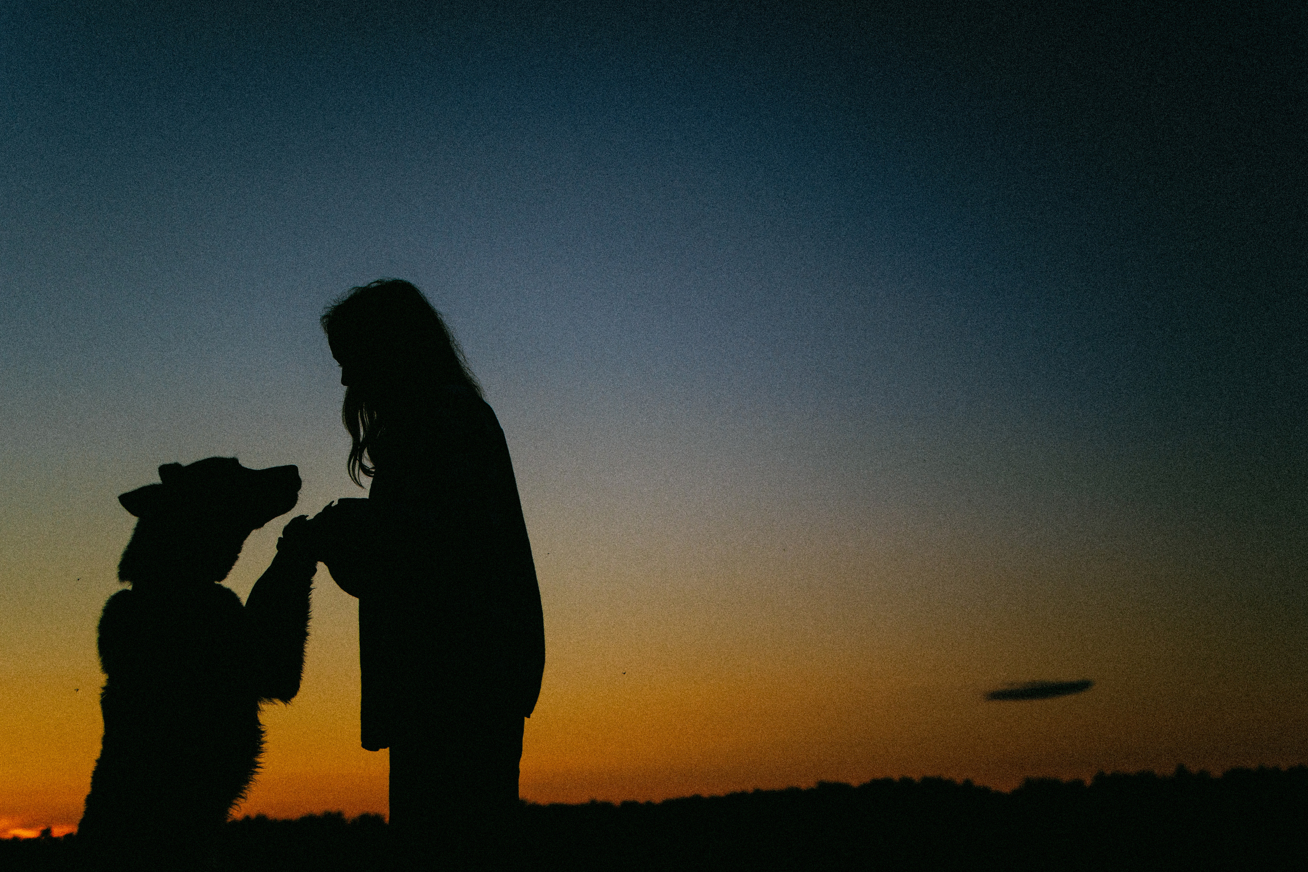 Девочки и рассвет. Фотораф — анималист Мария Шистка