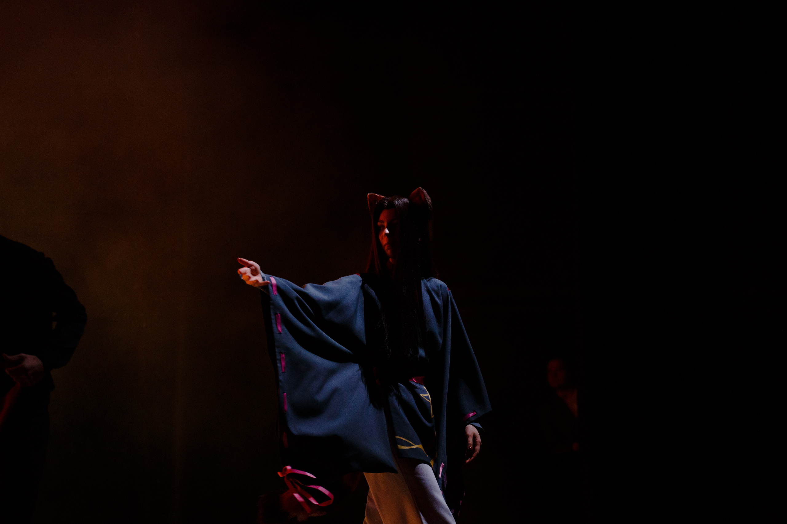 Репортажная фотосъёмка мероприятий, юбилеев. Фоторепортажная фотосъёмка красоты уличного праздника.