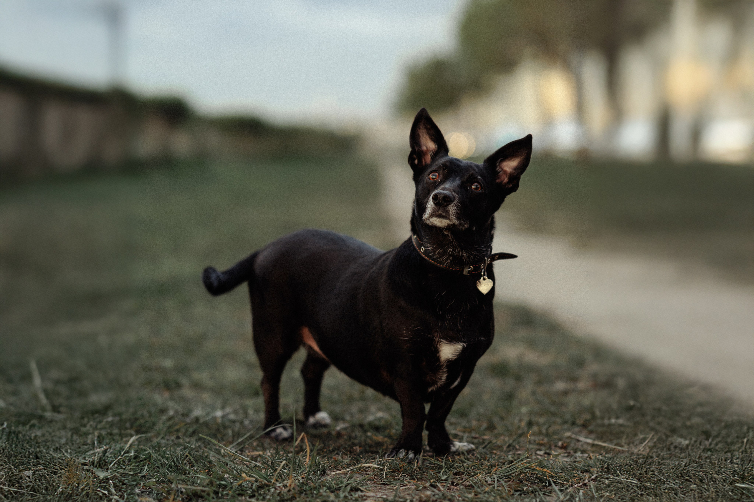 Ася и ее семья. Фотограф в Санкт-Петербурге Алёна Губинская