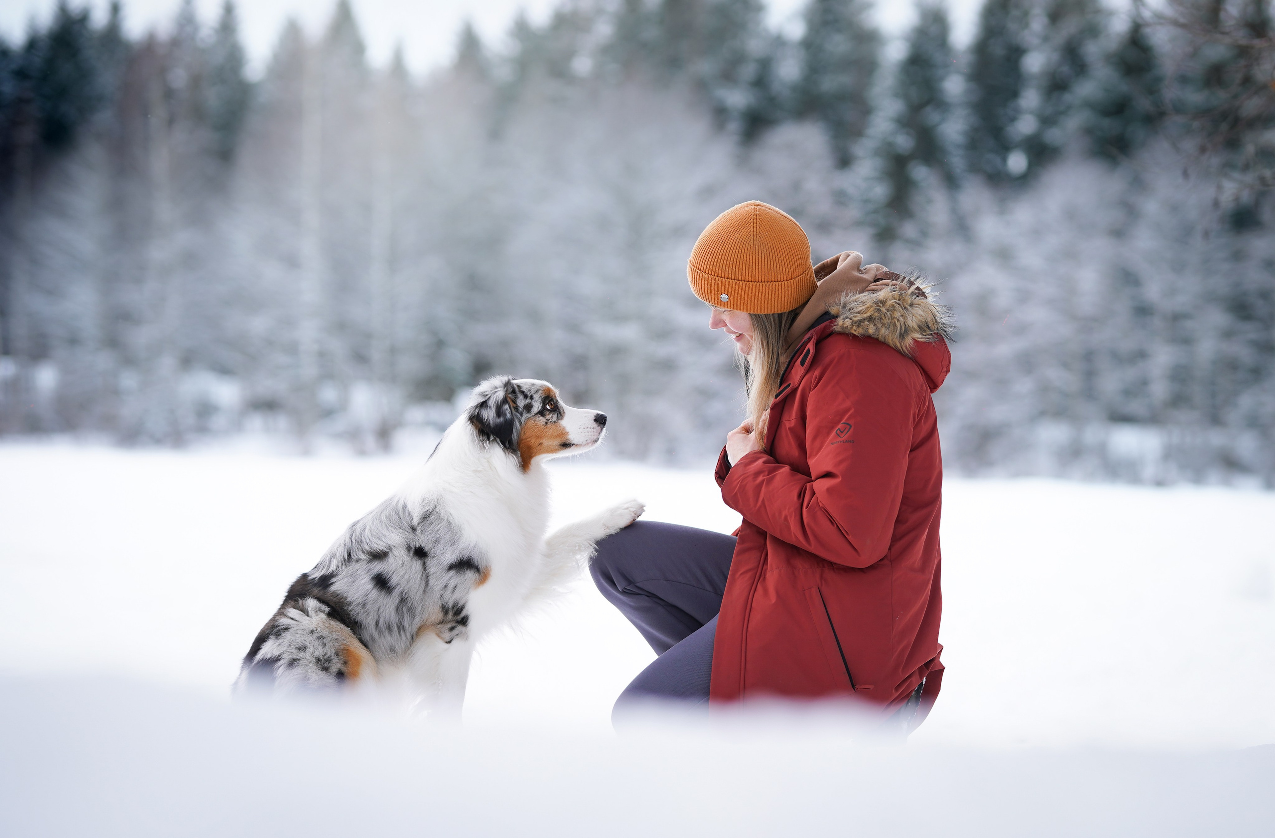 Ирина и Кайса. Фотограф-анималист в Санкт-Петербурге Яна Мартынова