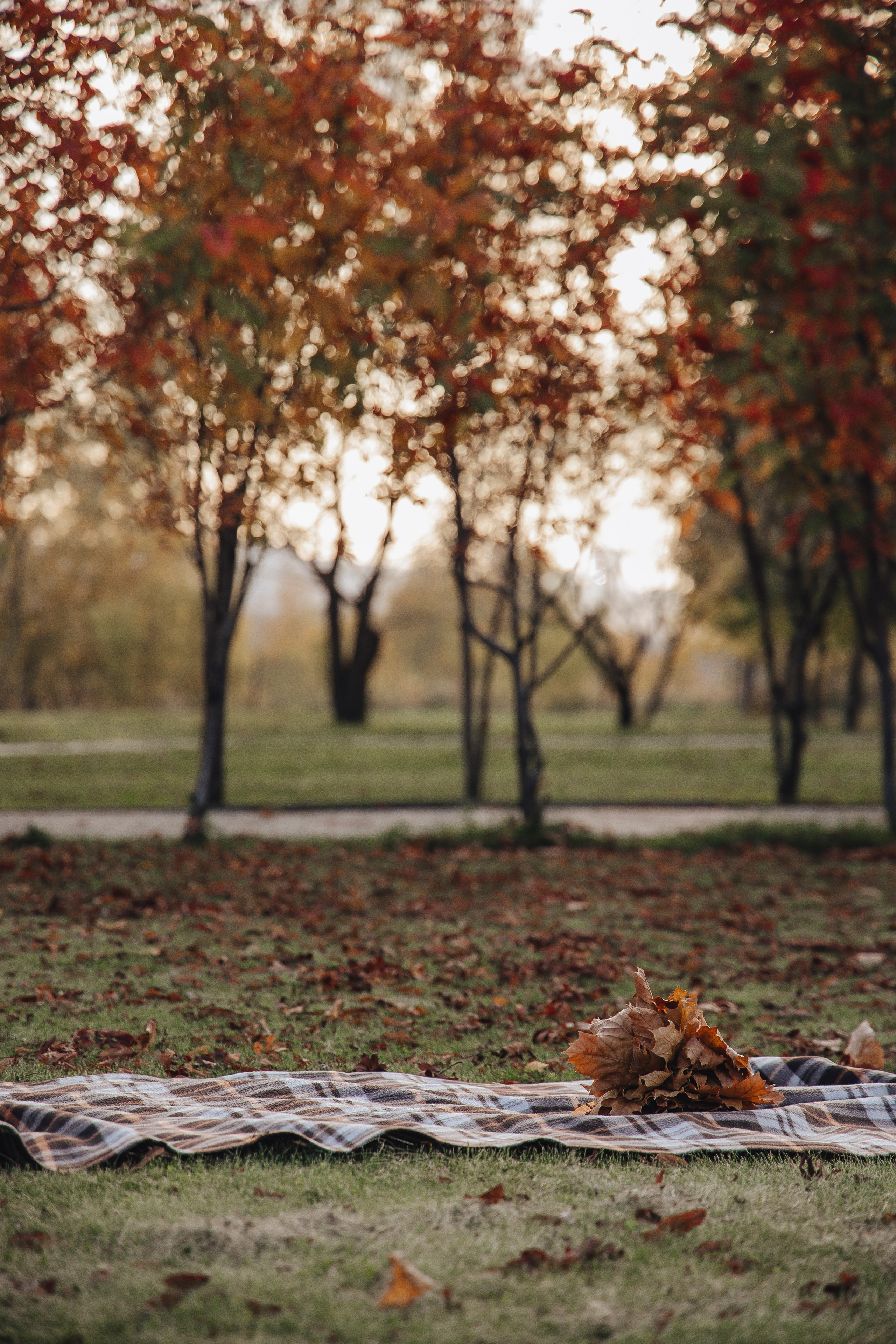 Наша теплая осень. Фотограф Новосибирск