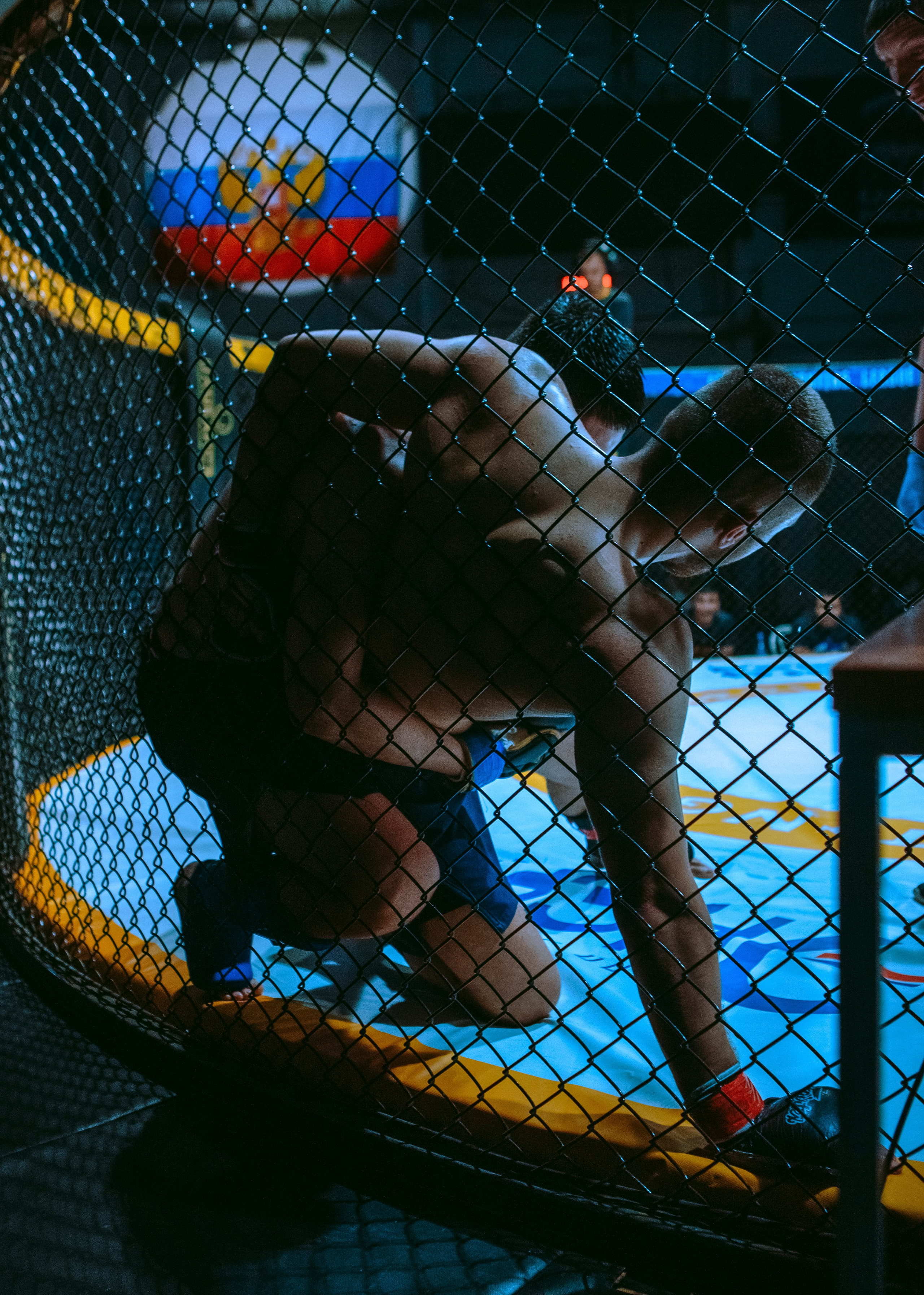 SFL 17 | Siberian Fighting League. Портретный фотограф в Москве Дарья Цезария