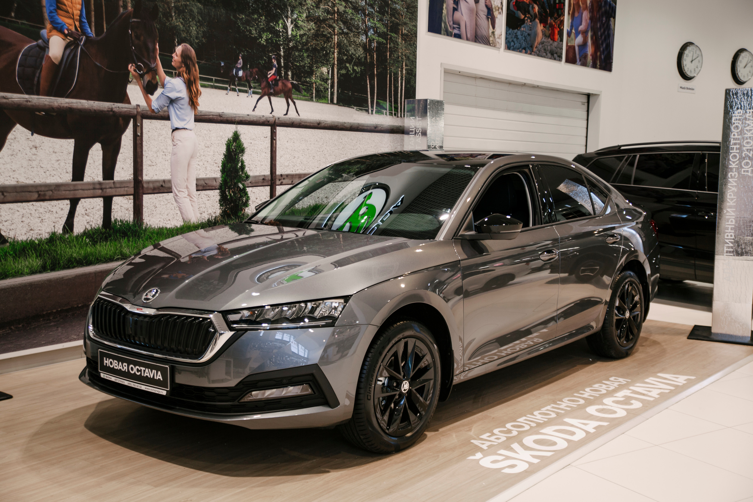 Репортаж Шкода. Свадебный фотограф Дарья Свет