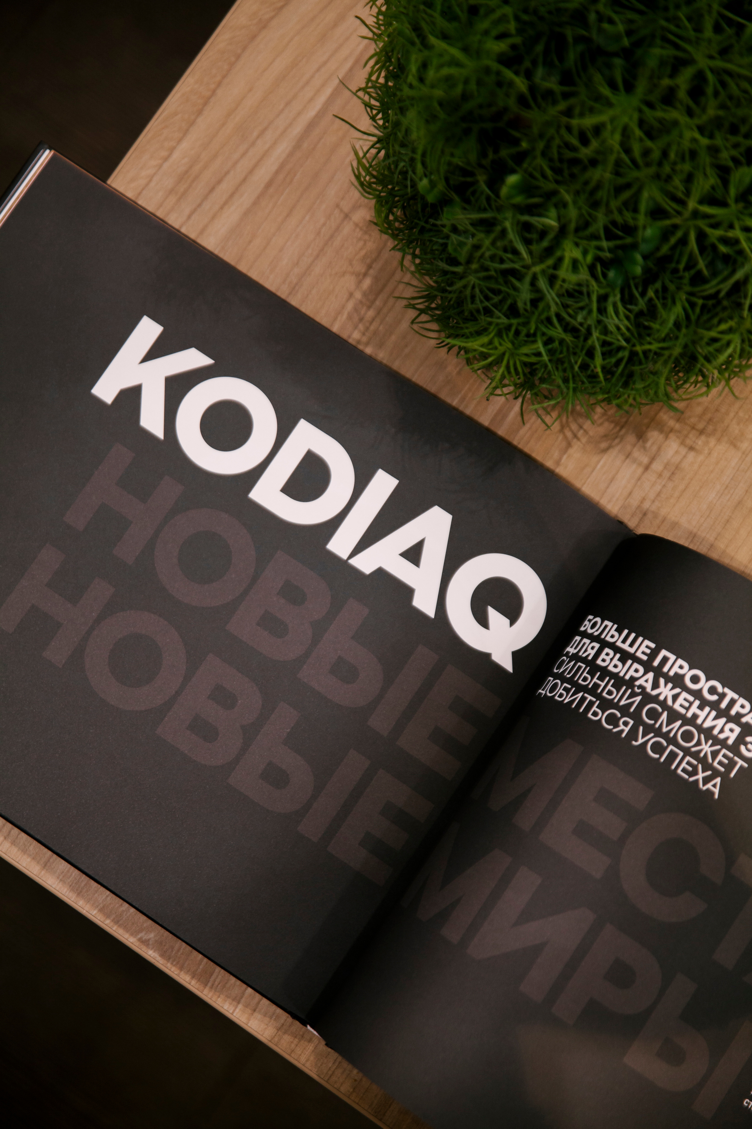 Репортаж Шкода. Свадебный фотограф Дарья Свет