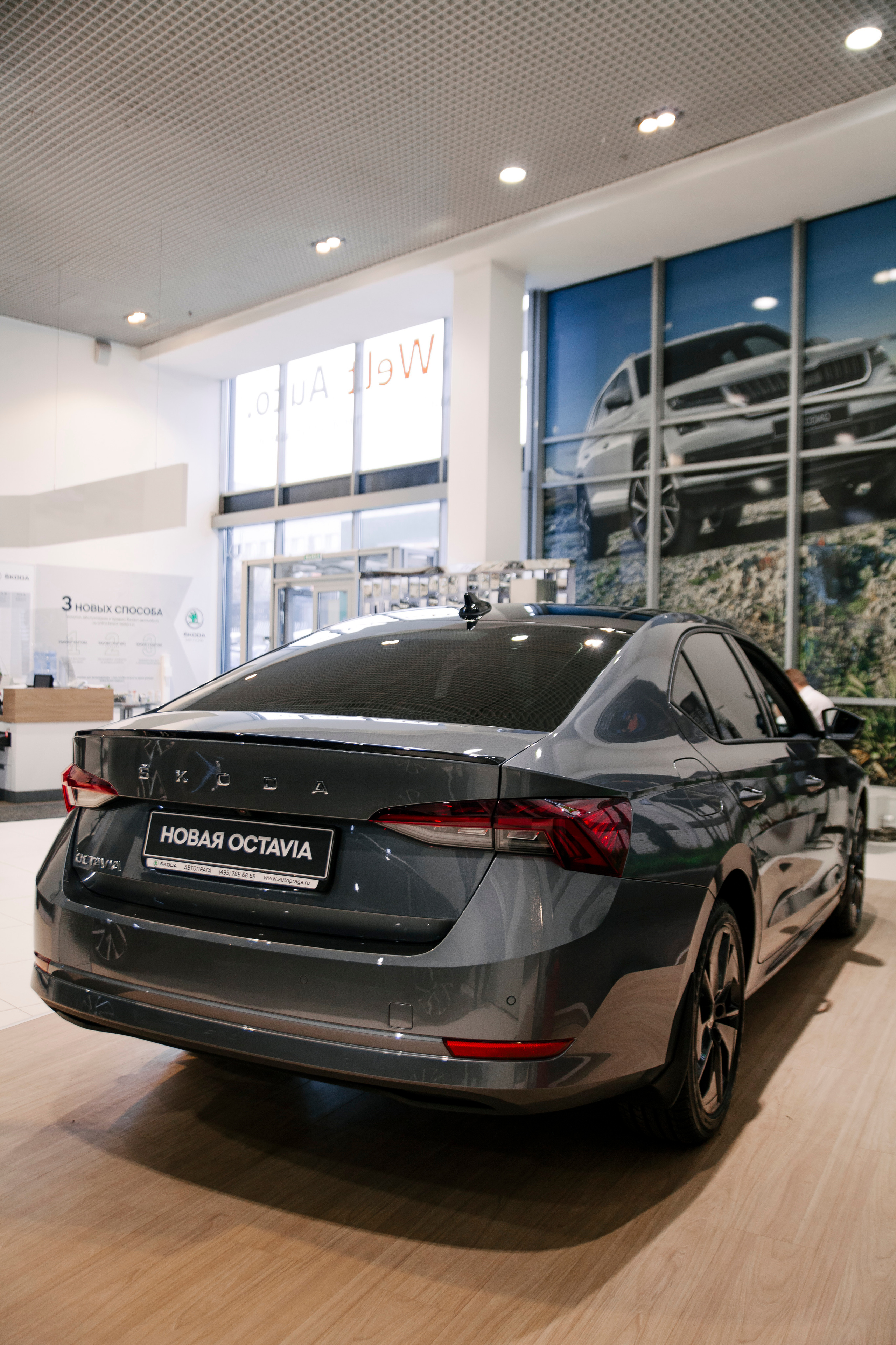 Репортаж Шкода. Свадебный фотограф Дарья Свет