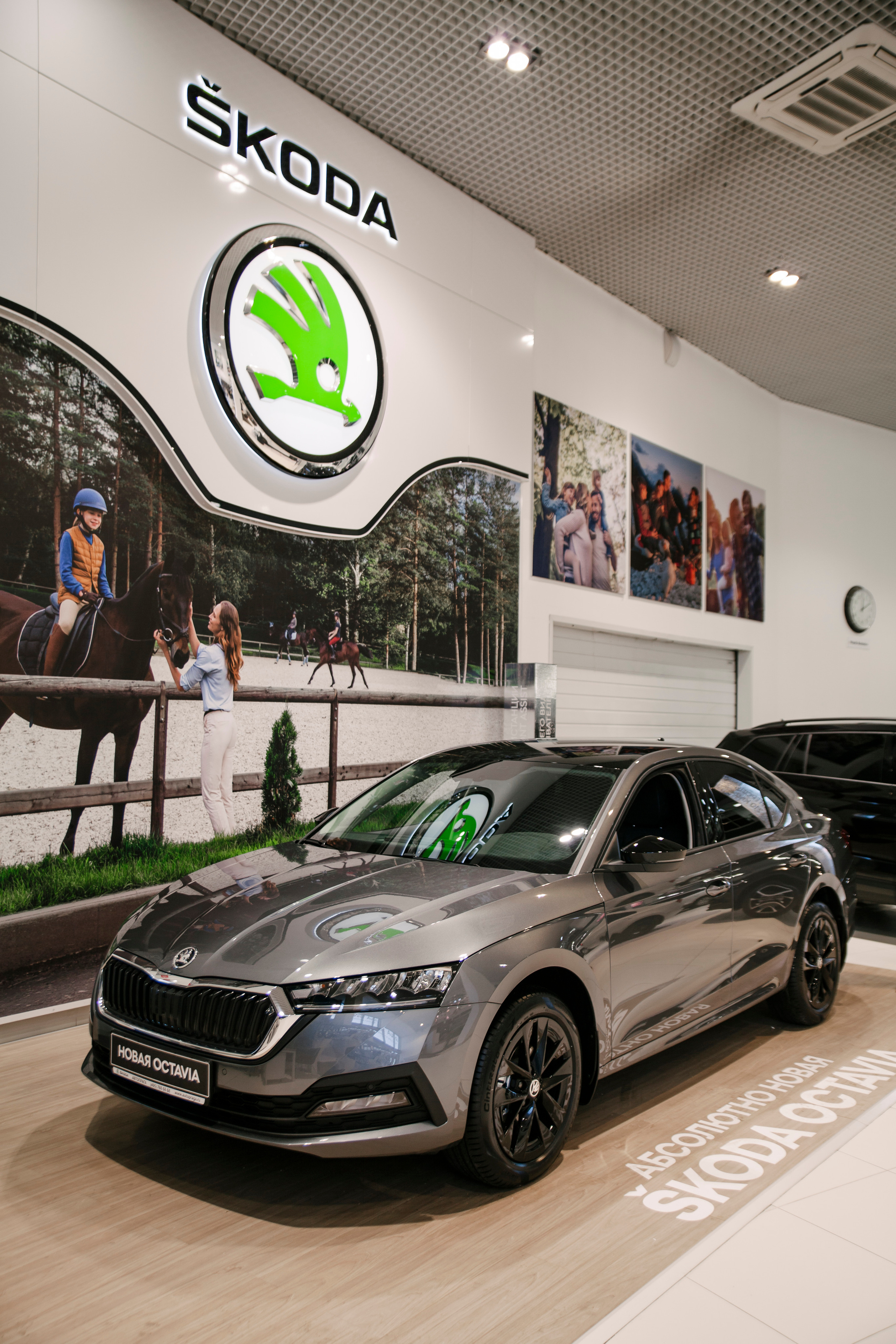 Репортаж Шкода. Свадебный фотограф Дарья Свет