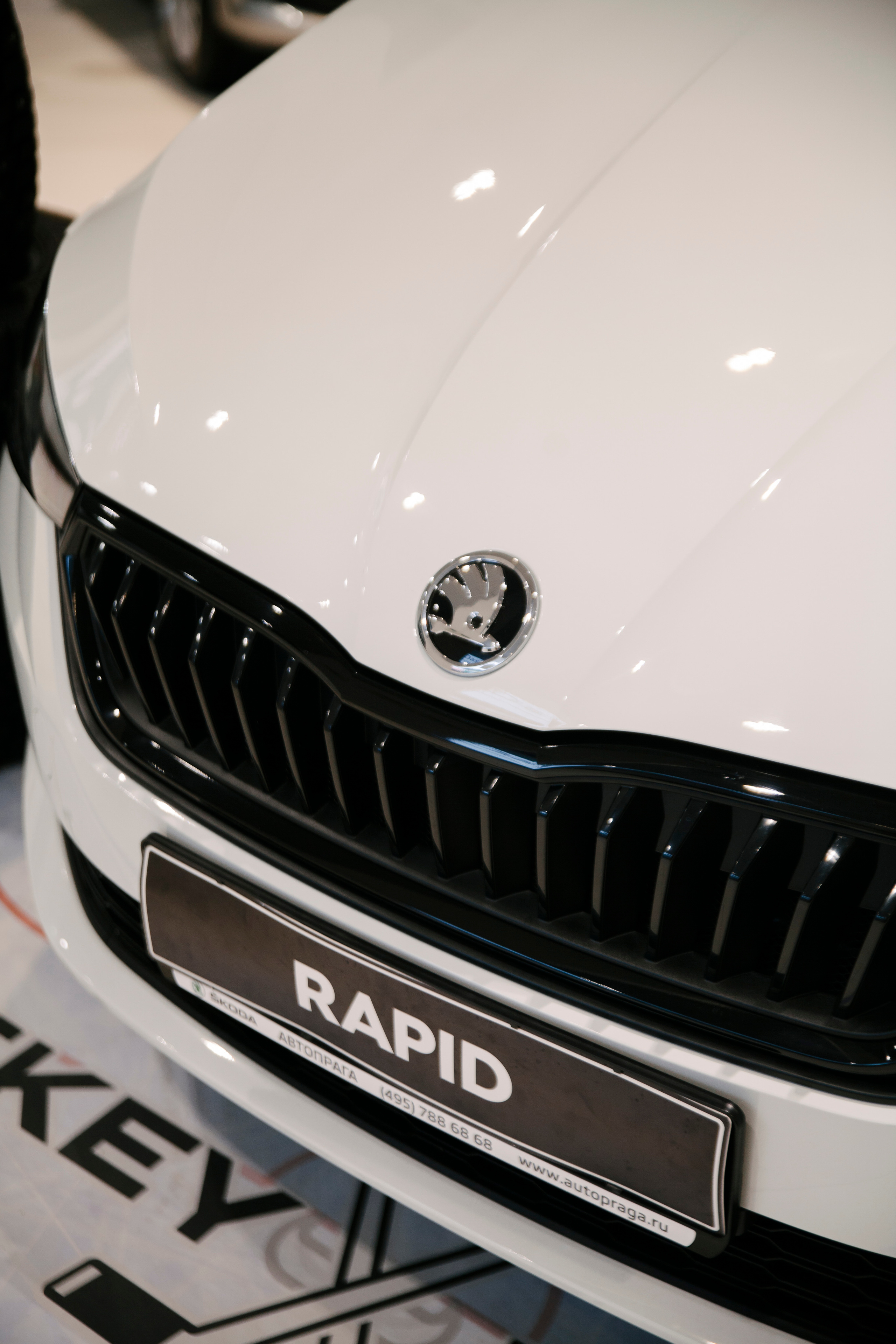 Репортаж Шкода. Свадебный фотограф Дарья Свет