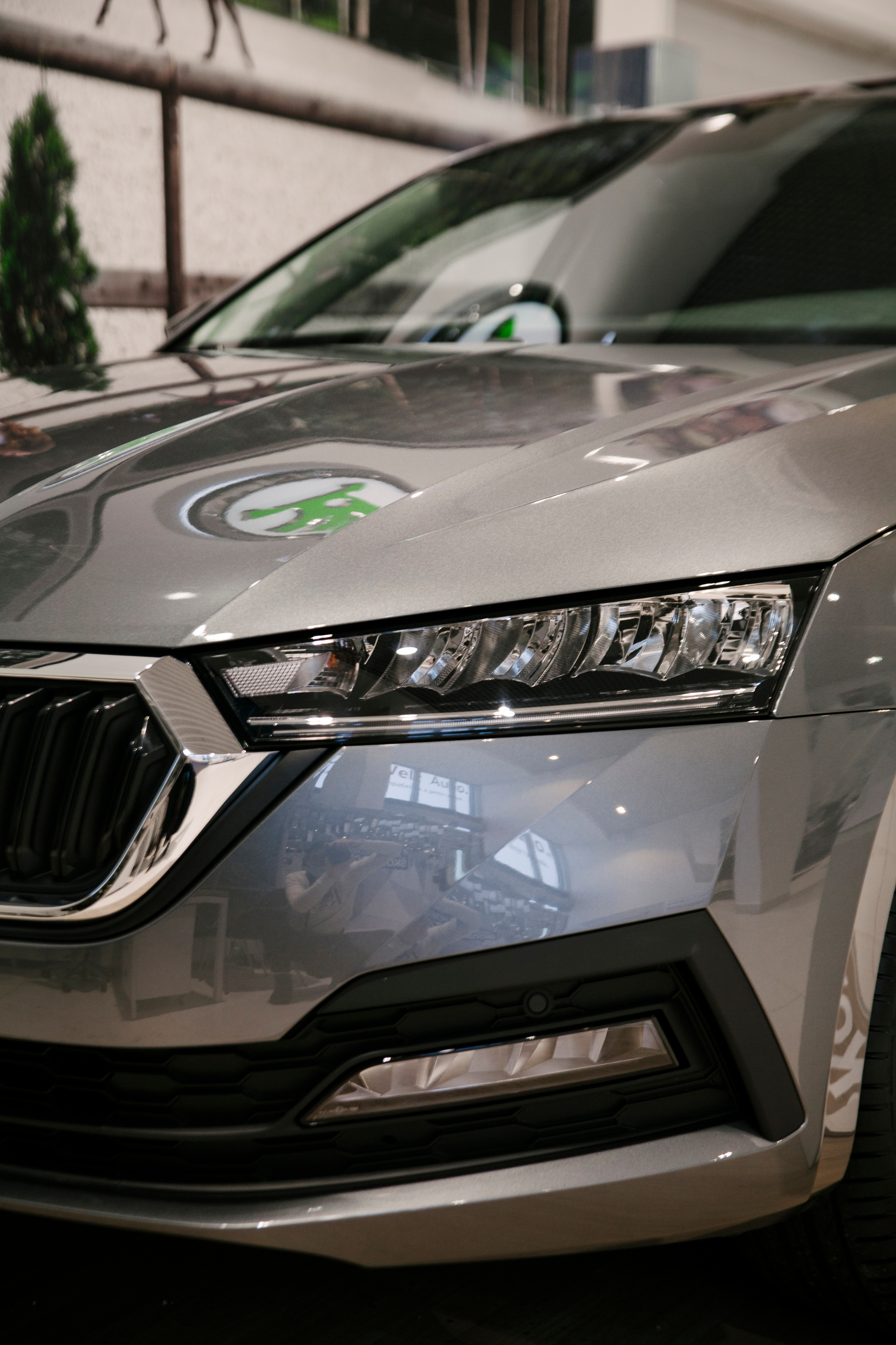 Репортаж Шкода. Свадебный фотограф Дарья Свет