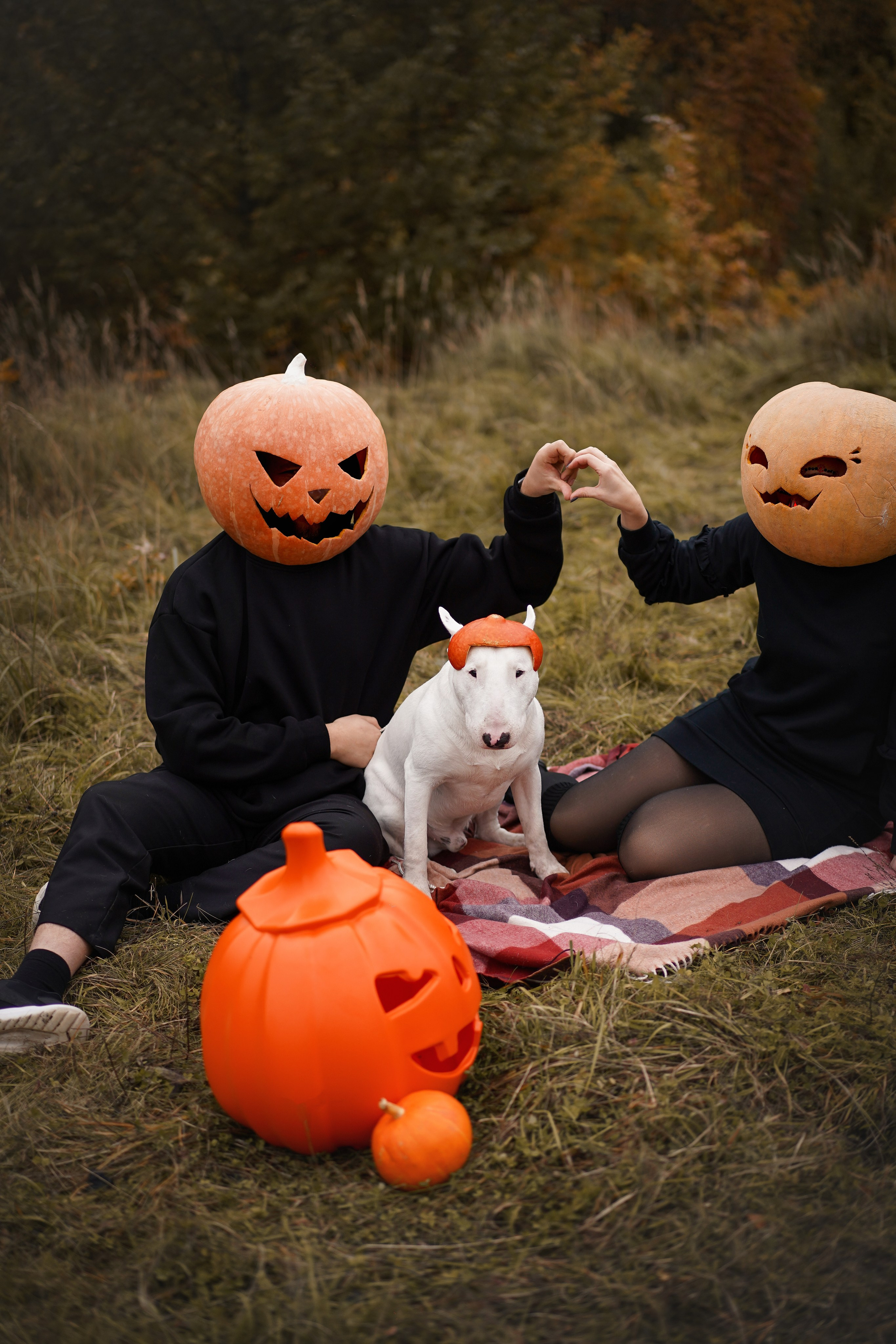 Настя Рома и Сахар Хелоуин. Фотограф-анималист в Санкт-Петербурге Яна Мартынова