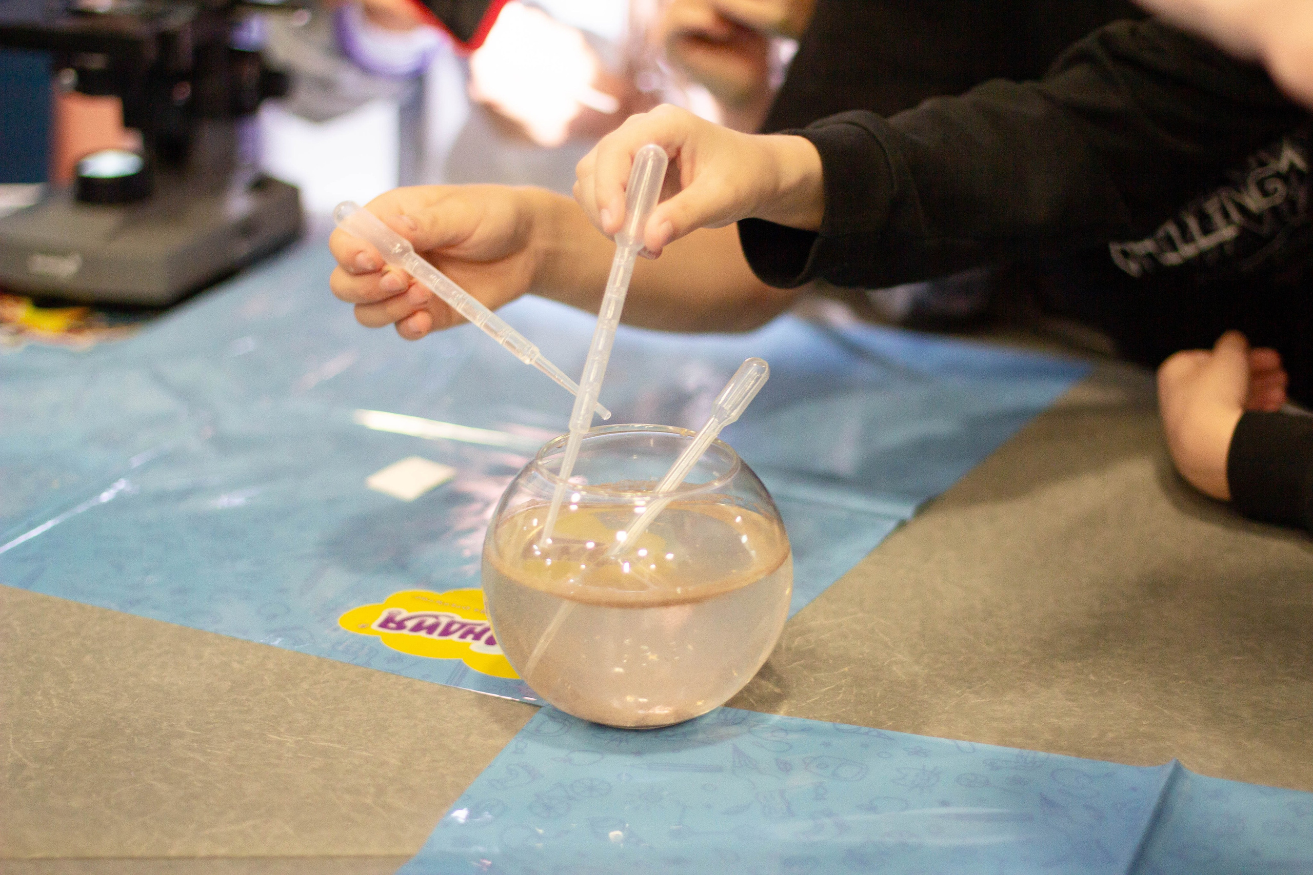 Форум родные-любимые 2024. Фотограф мероприятий и спорта: юбилеев, дней рождений и корпоративов из Москвы