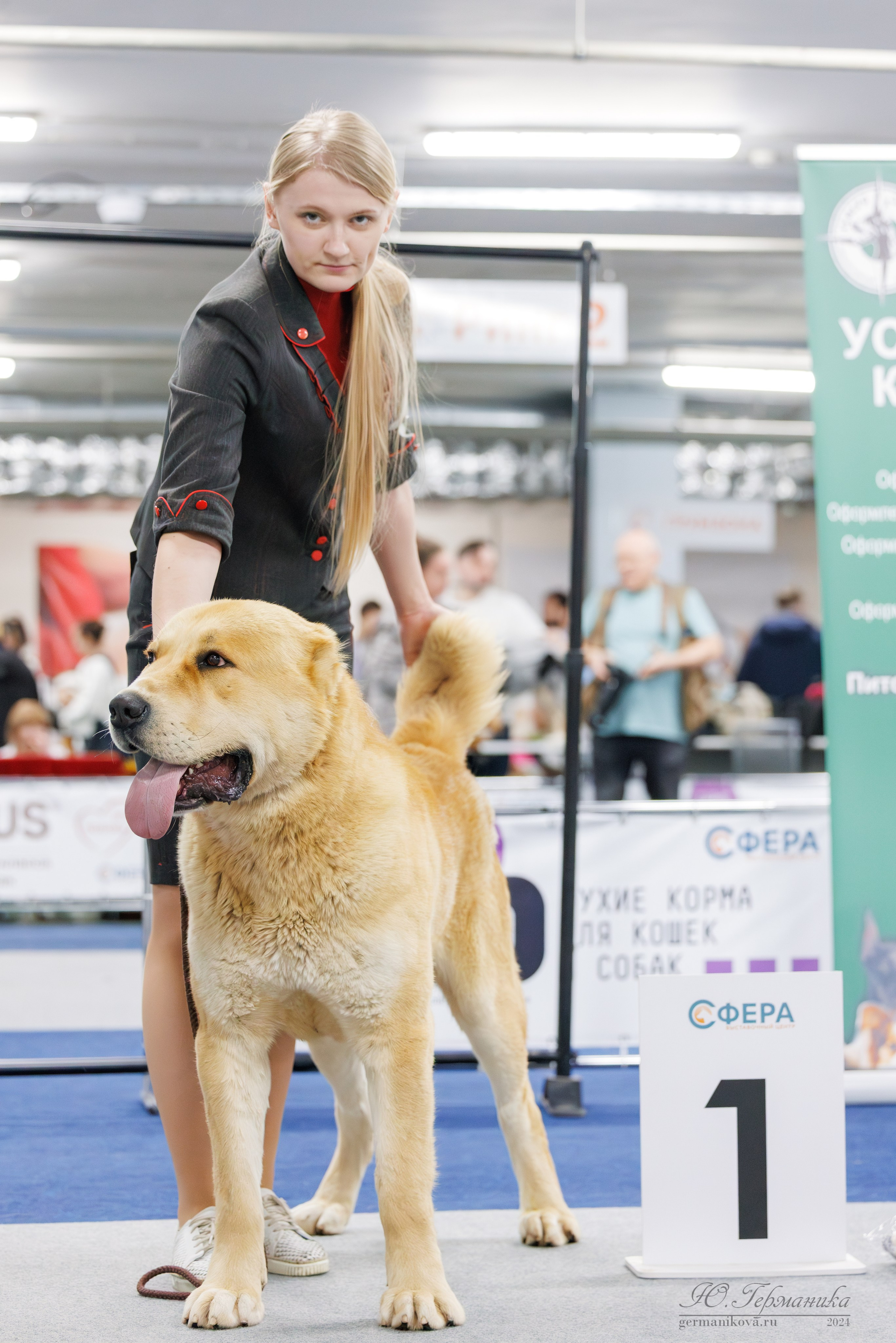 Сфера и Крокус 8,9,16 и 30.03.2025. Фотограф-анималист Юлия Германика