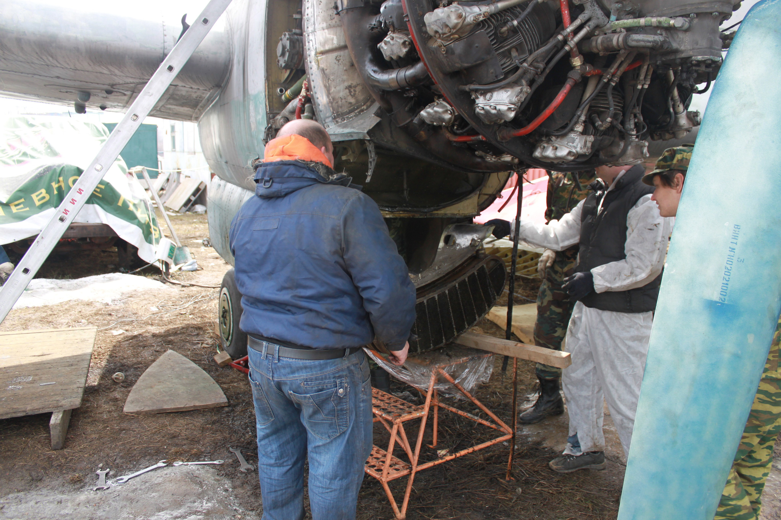Ил-14Т «Голубая Мечта» работы в Тушино (2011 г.). Фотоальбом показывающий увлекательный мир авиации и мир медведей Андрея Иванова