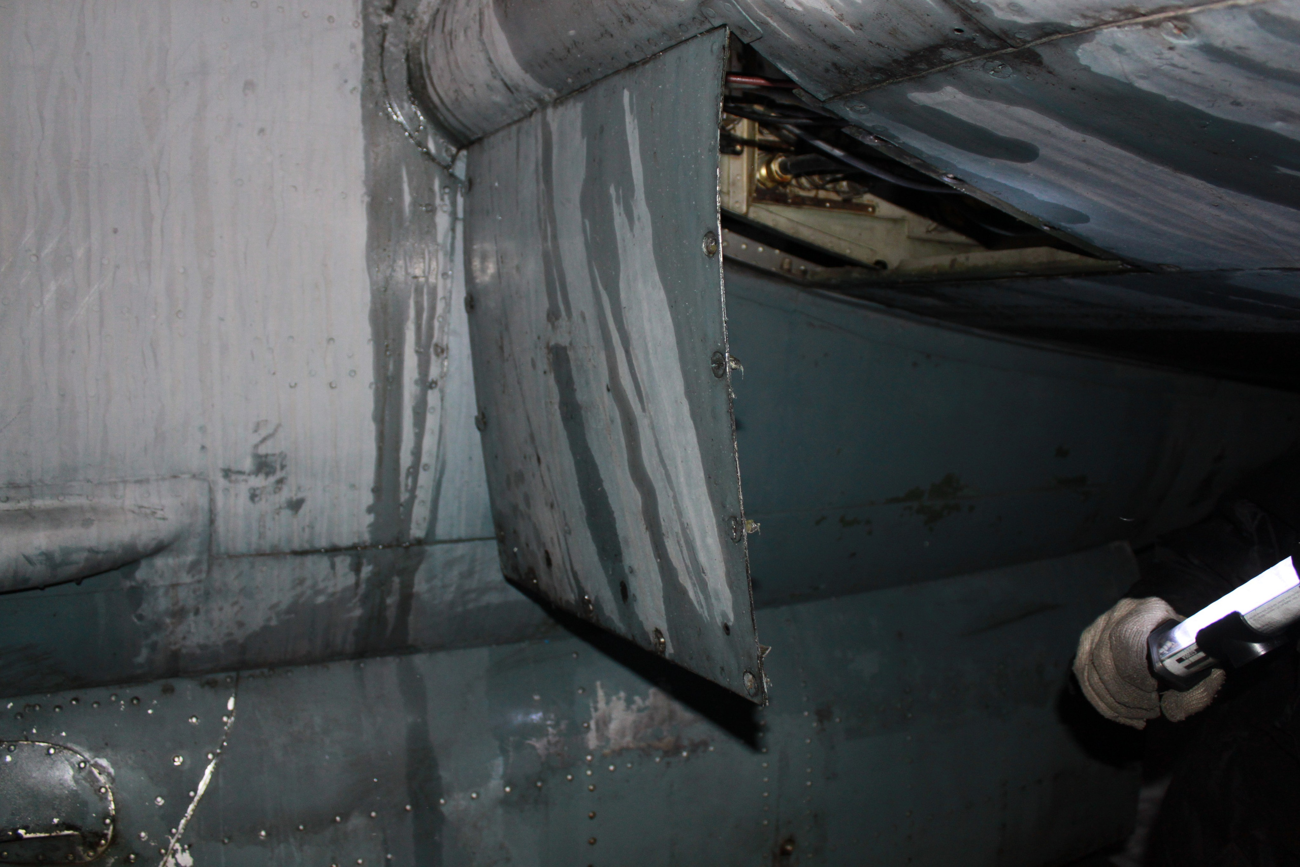 Ил-14Т «Голубая Мечта» работы в Тушино (2011 г.). Фотоальбом показывающий увлекательный мир авиации и мир медведей Андрея Иванова