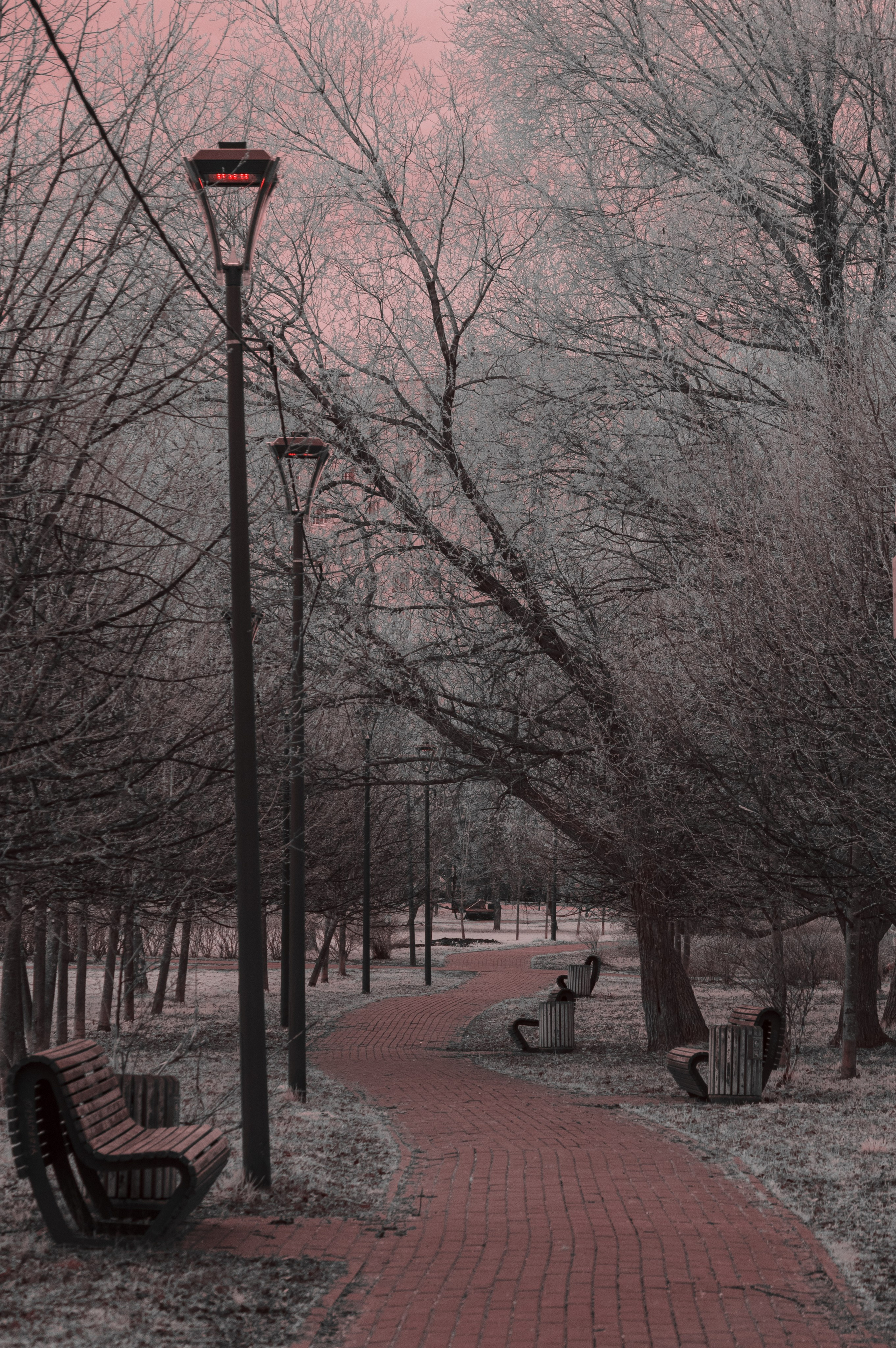 Инфракрасная фотография. Портретный, репортажный и свадебный фотограф в Екатеринбурге Денис Южаков