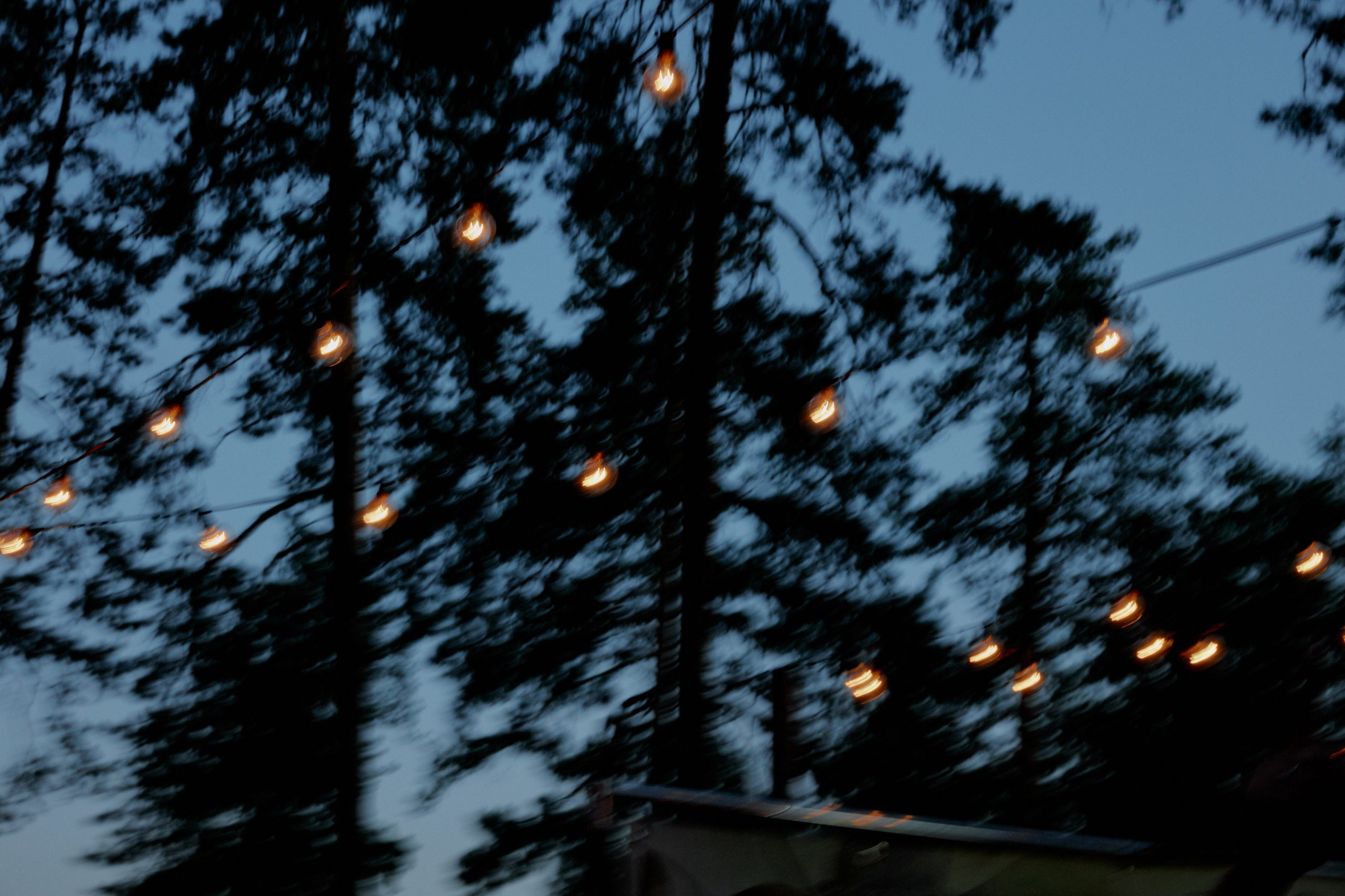 Лаймовое настроение. Фотограф Елена Краснопевцева