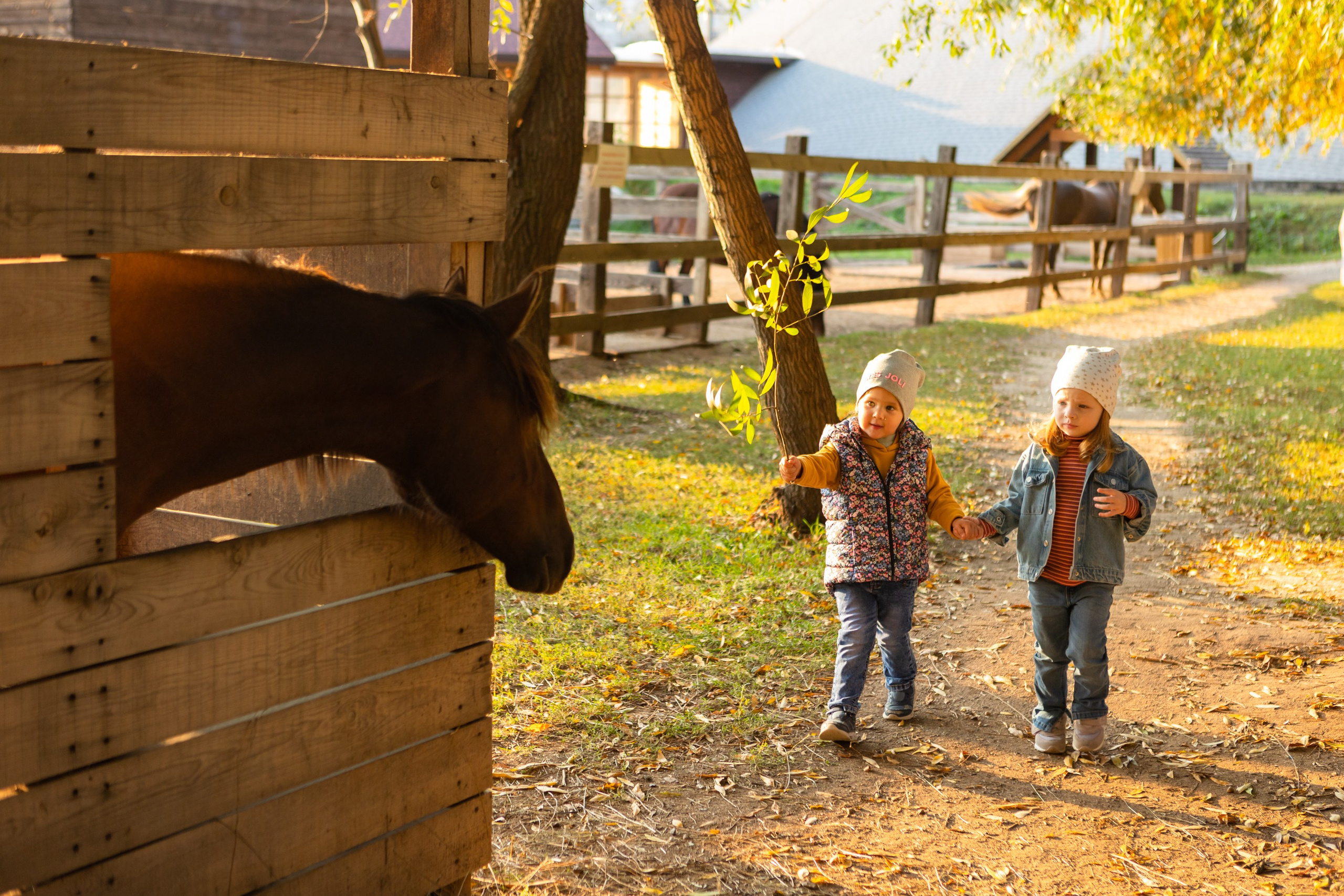 Фотосессия в конном клубе Воздух. Фотограф в Оренбурге. Профессиональный фотограф