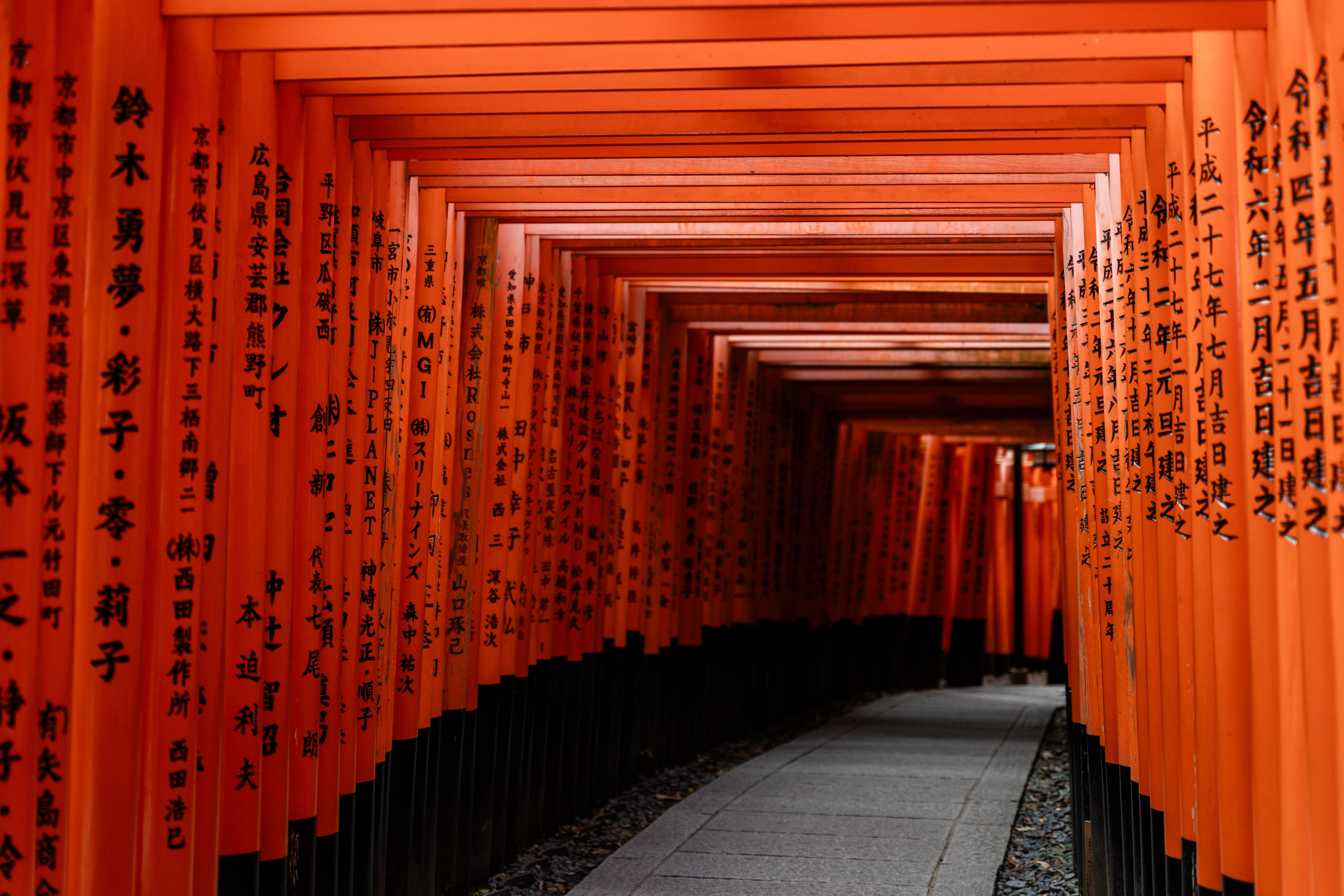 Фототур в Японию