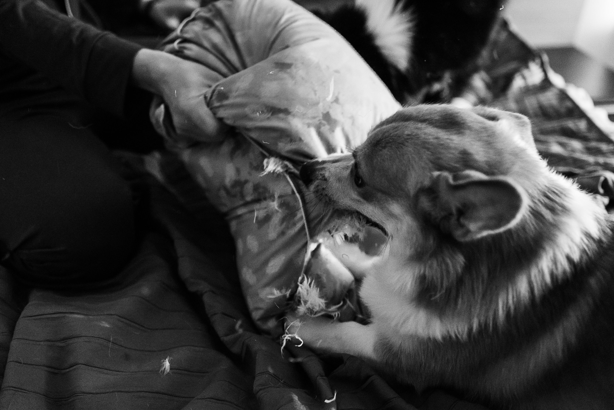 Пижамная вечеринка Тани и Димы. Семейный Фотограф в Москве Ирина Хохлова