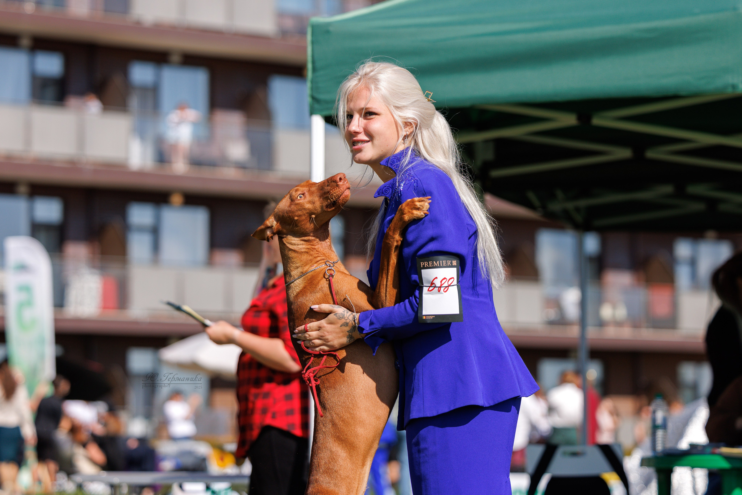 Переславль 5-7.08.2025. Фотограф-анималист Юлия Германика