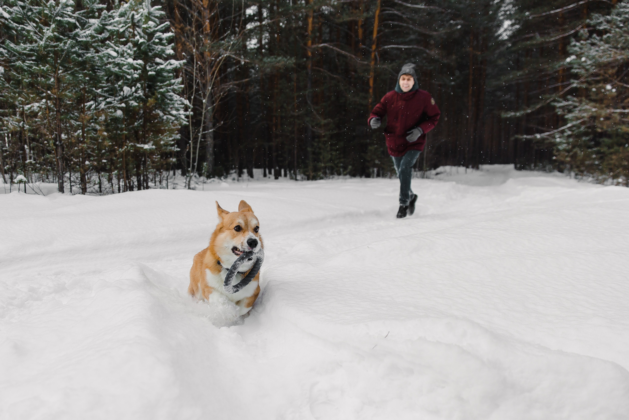 Дима и Даша. Свадебный и семейный фотограф в Томске Алексей