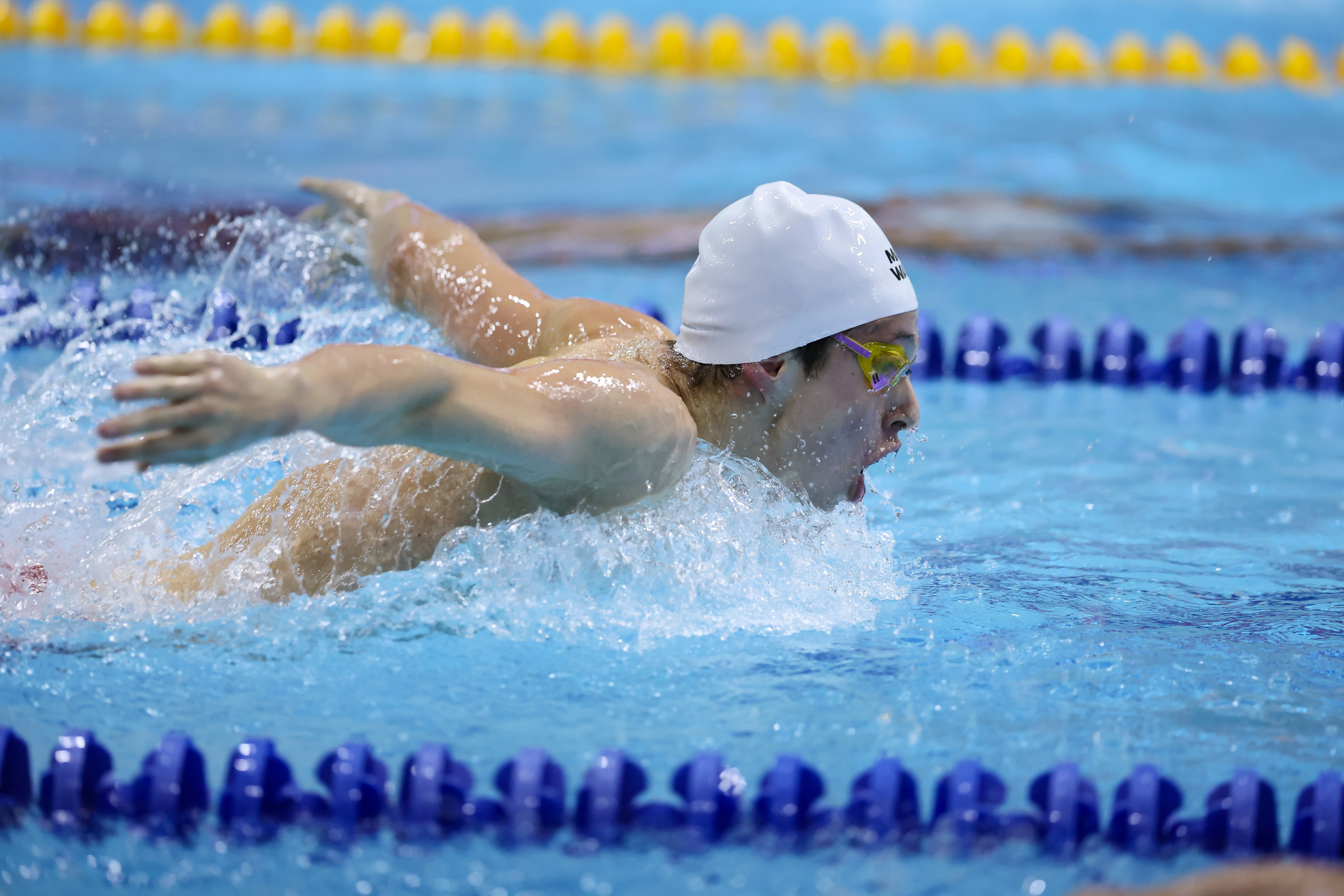 Чемпионат России по плаванию 25 м 21-26.11.2024. Спортивный и репортажный фотограф Антон Тереханов