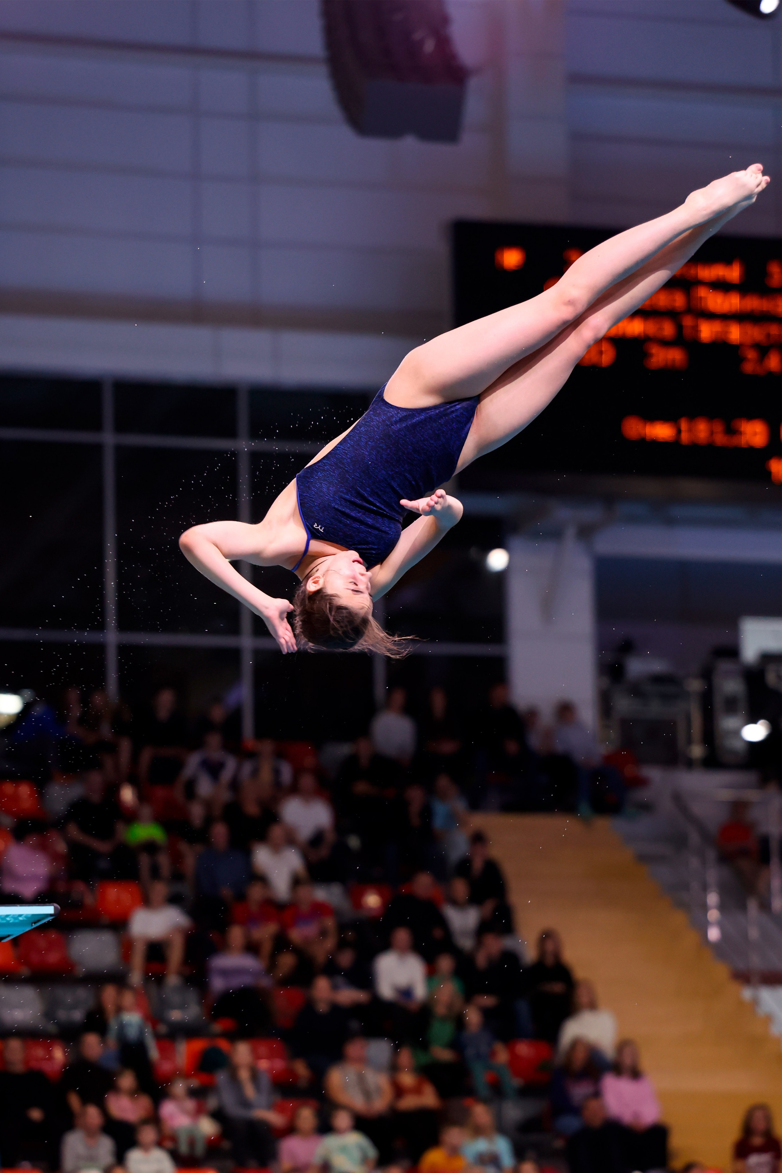 Кубок России по прыжкам в воду 04-08.02.2025. Спортивный и репортажный фотограф Антон Тереханов