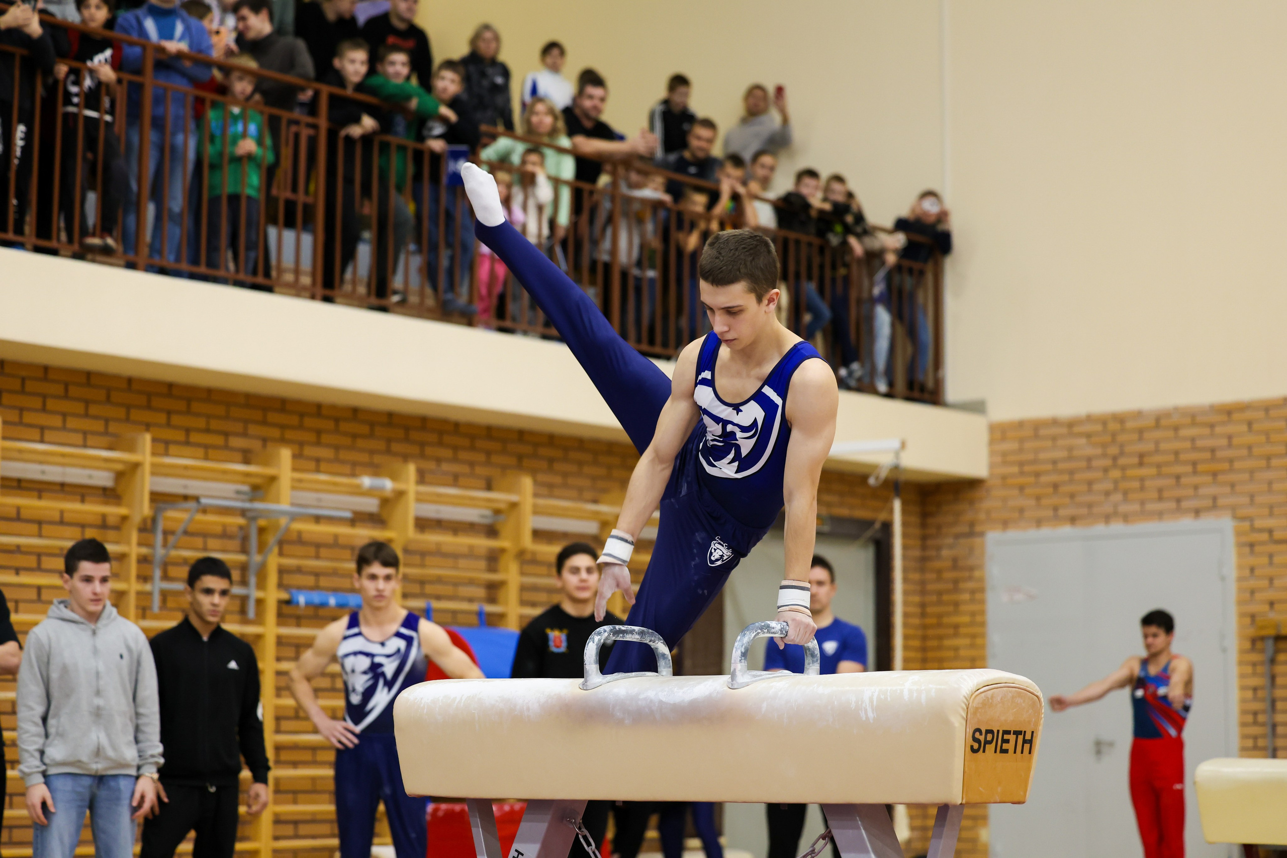 2 этап Гимнастическая премьер лига 2024. Спортивный и репортажный фотограф Антон Тереханов