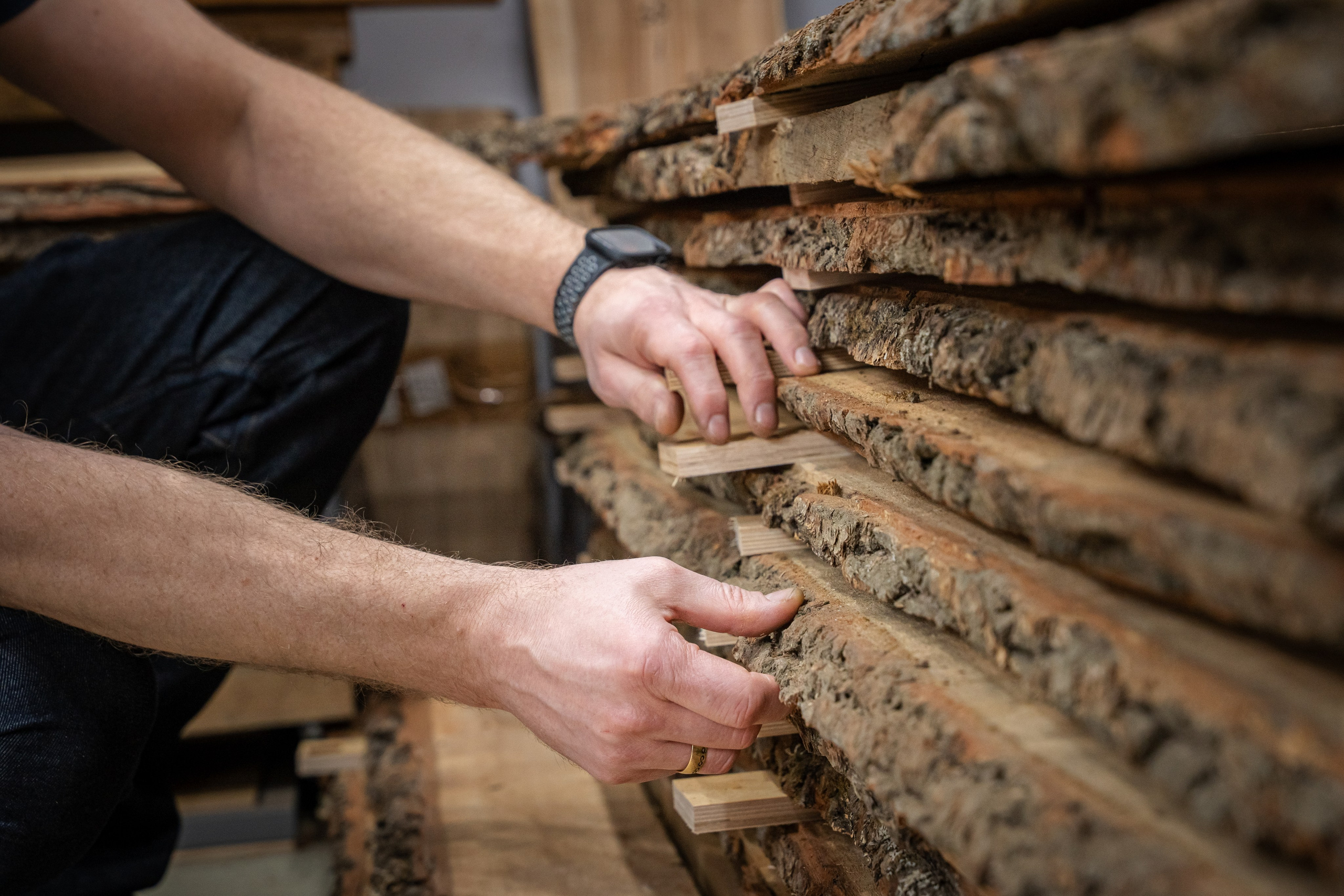 Дуб Forest. Главная