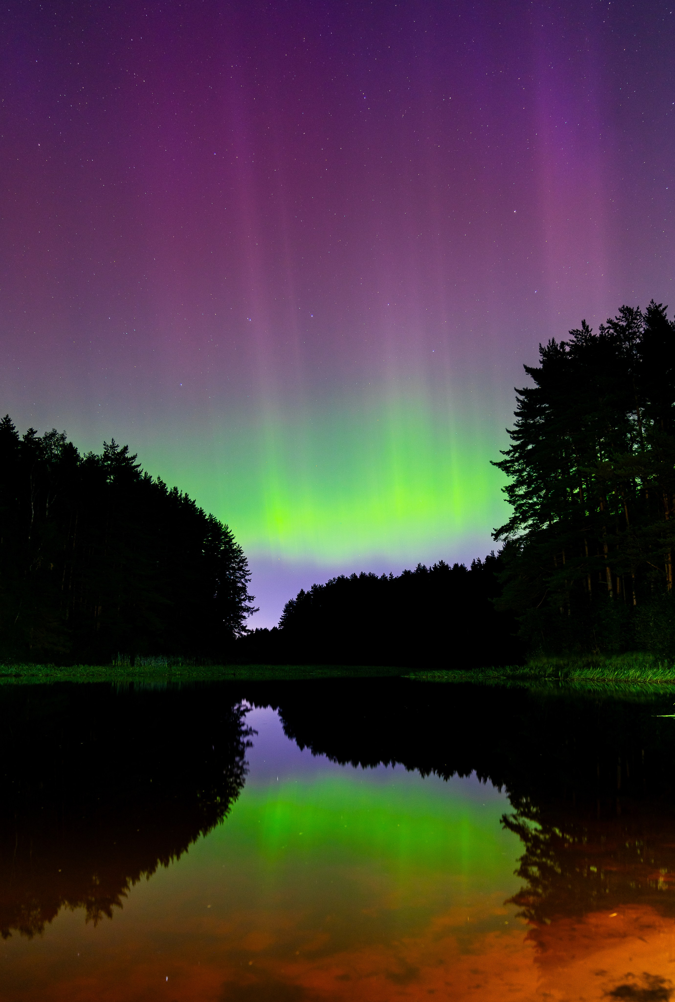 Фотогалерея Евгений Мальцев: Природа, пейзажи. Репортажный фотограф Санкт-Петербург | Мальцев Евгений