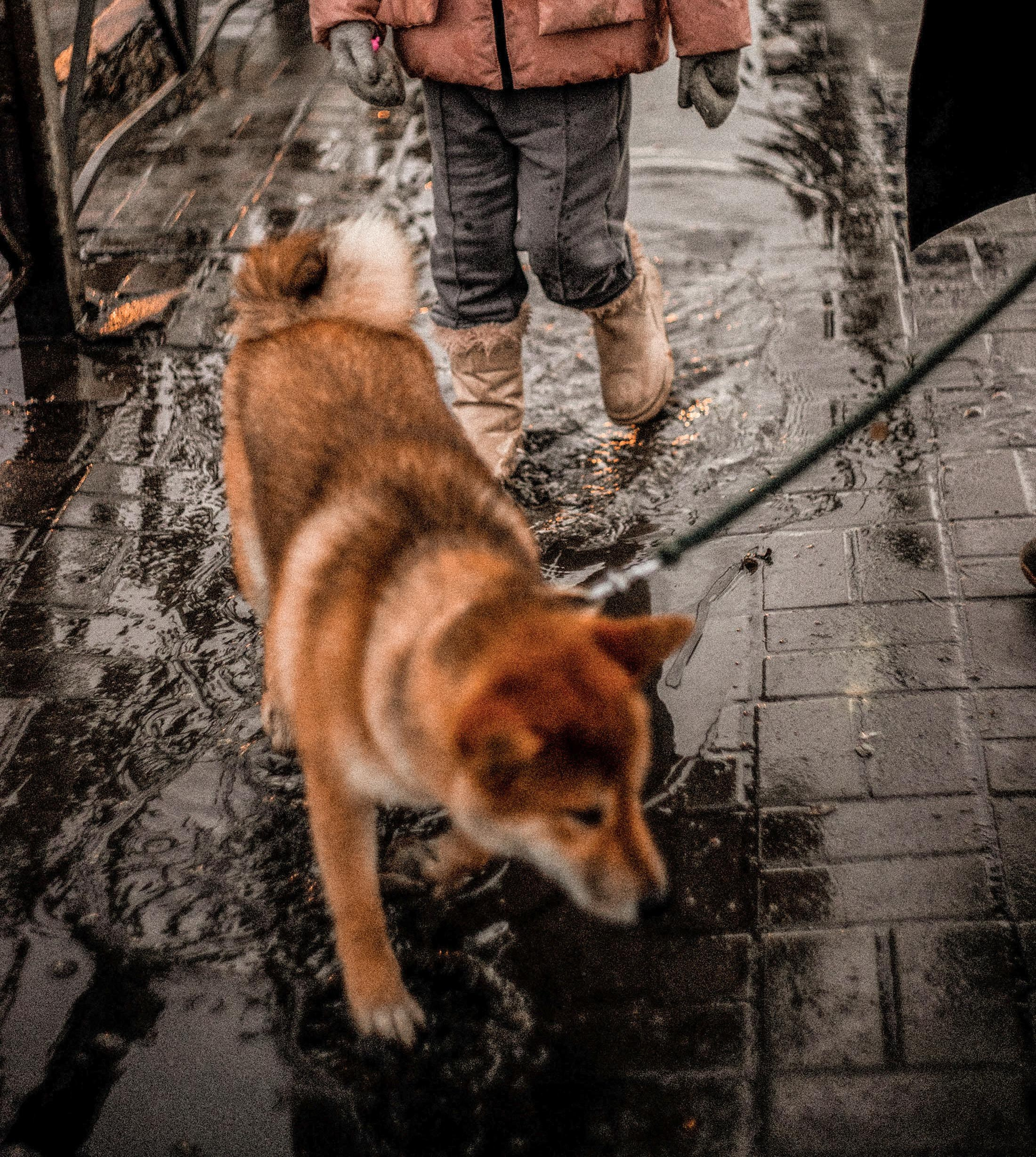 Tears and laughter. AleSeeva