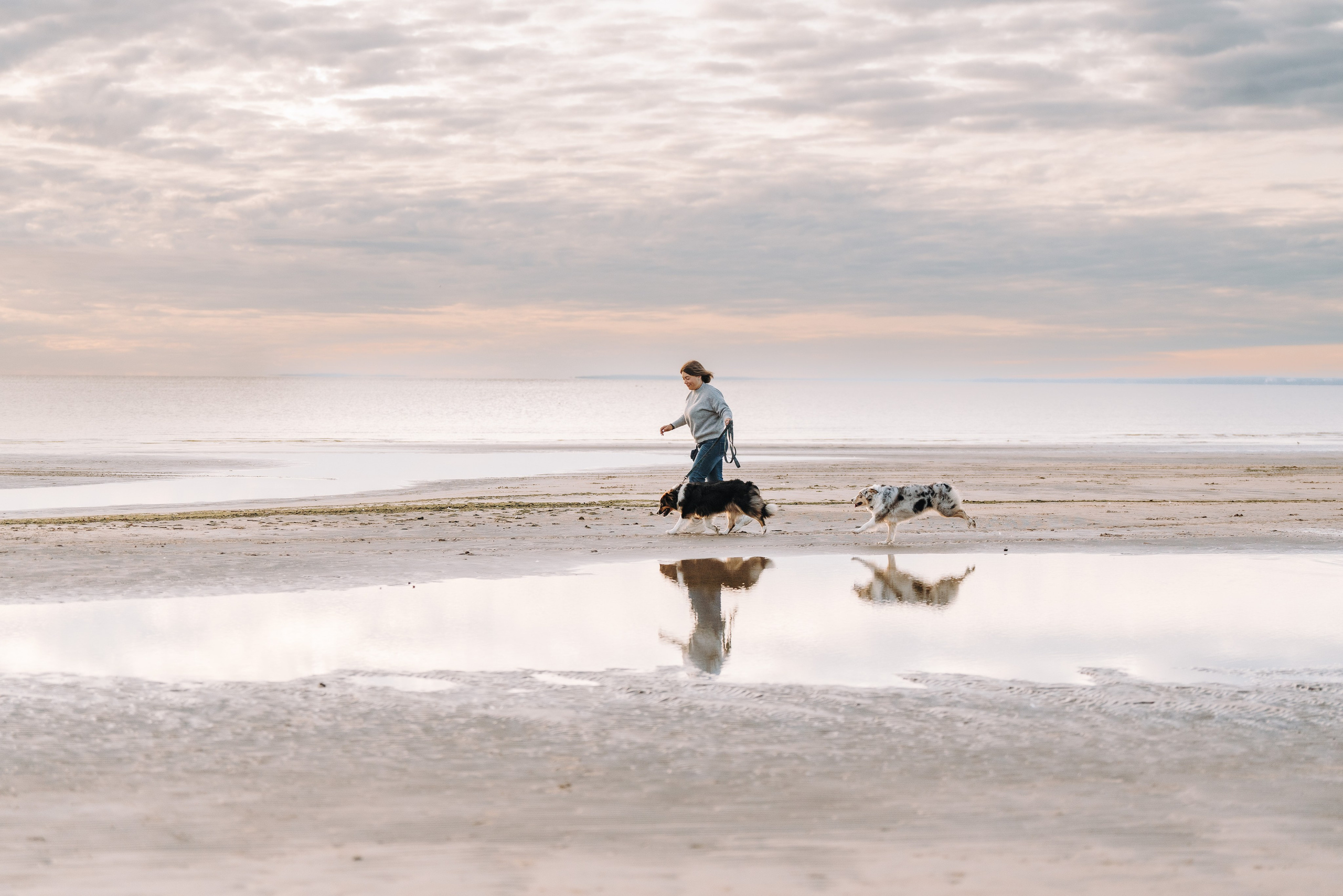 Фотограф анималист в Спб. Фотограф анималист в Спб недорого Олеся Майорова