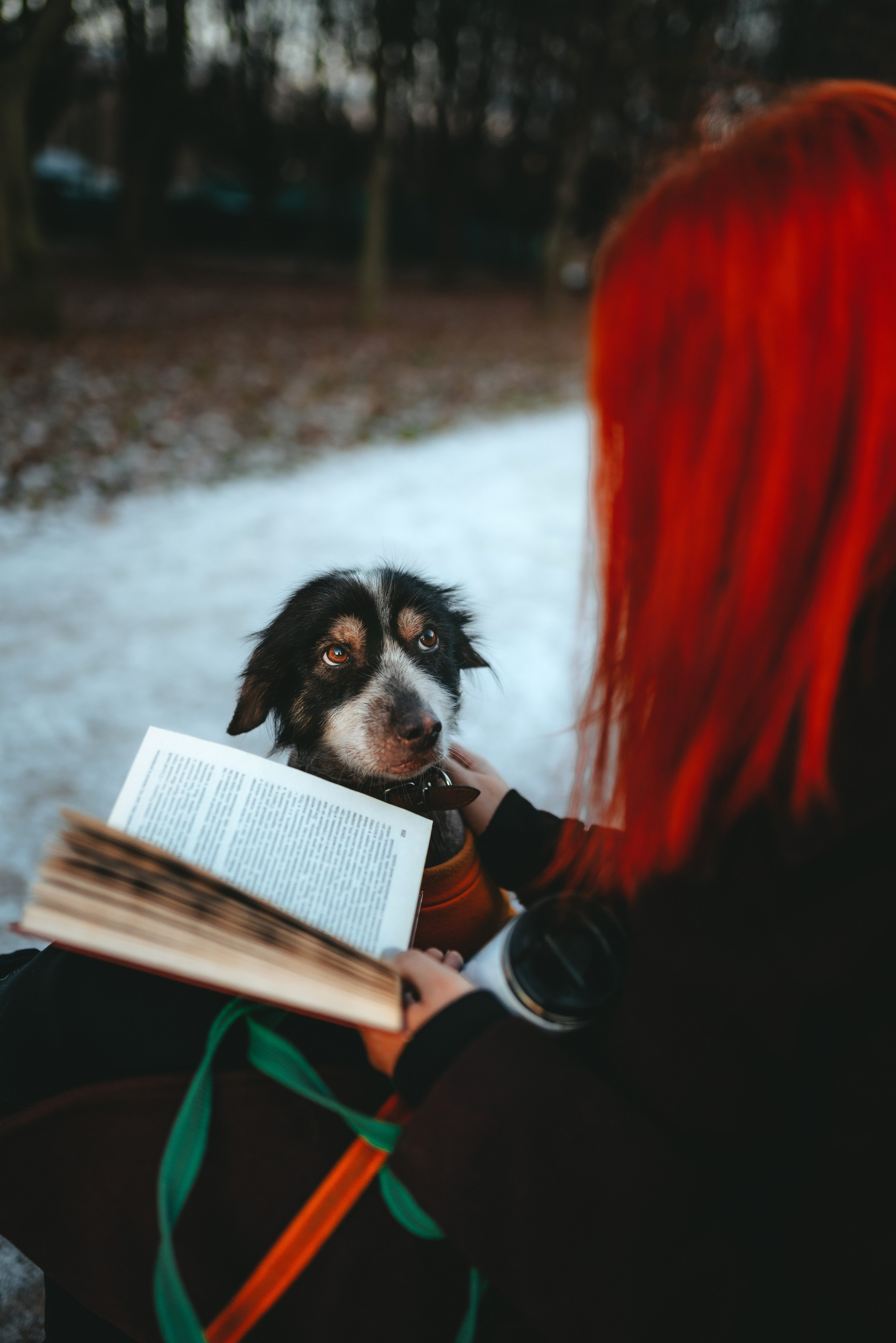 Творческая фотосессия фотографа анималиста. Фотограф анималист в Спб недорого Олеся Майорова