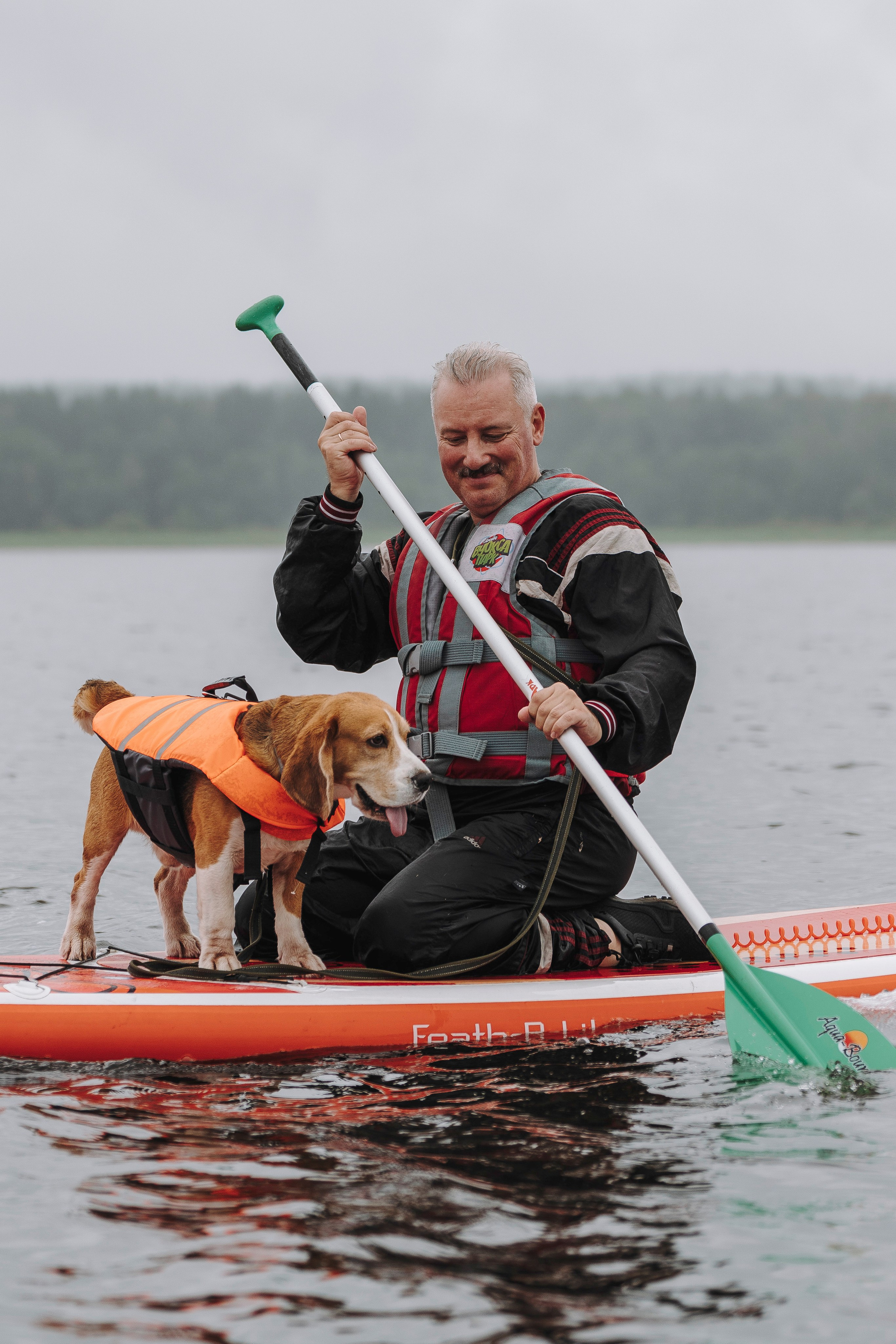 Катание на сапах с собаками. Фотограф анималист в Спб недорого Олеся Майорова