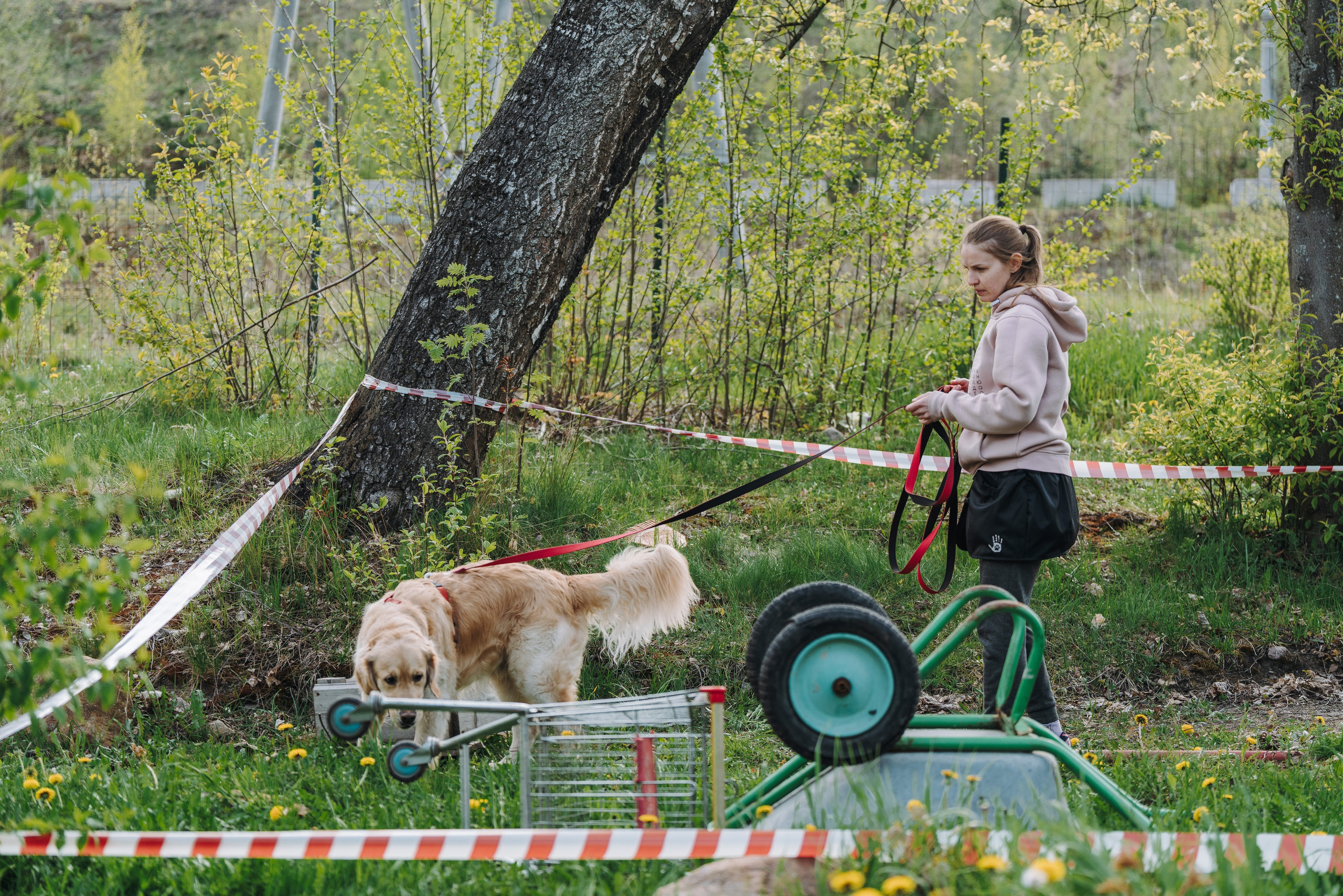 Соревнования по ноузворку в Лосево. Фотограф анималист в Спб недорого Олеся Майорова