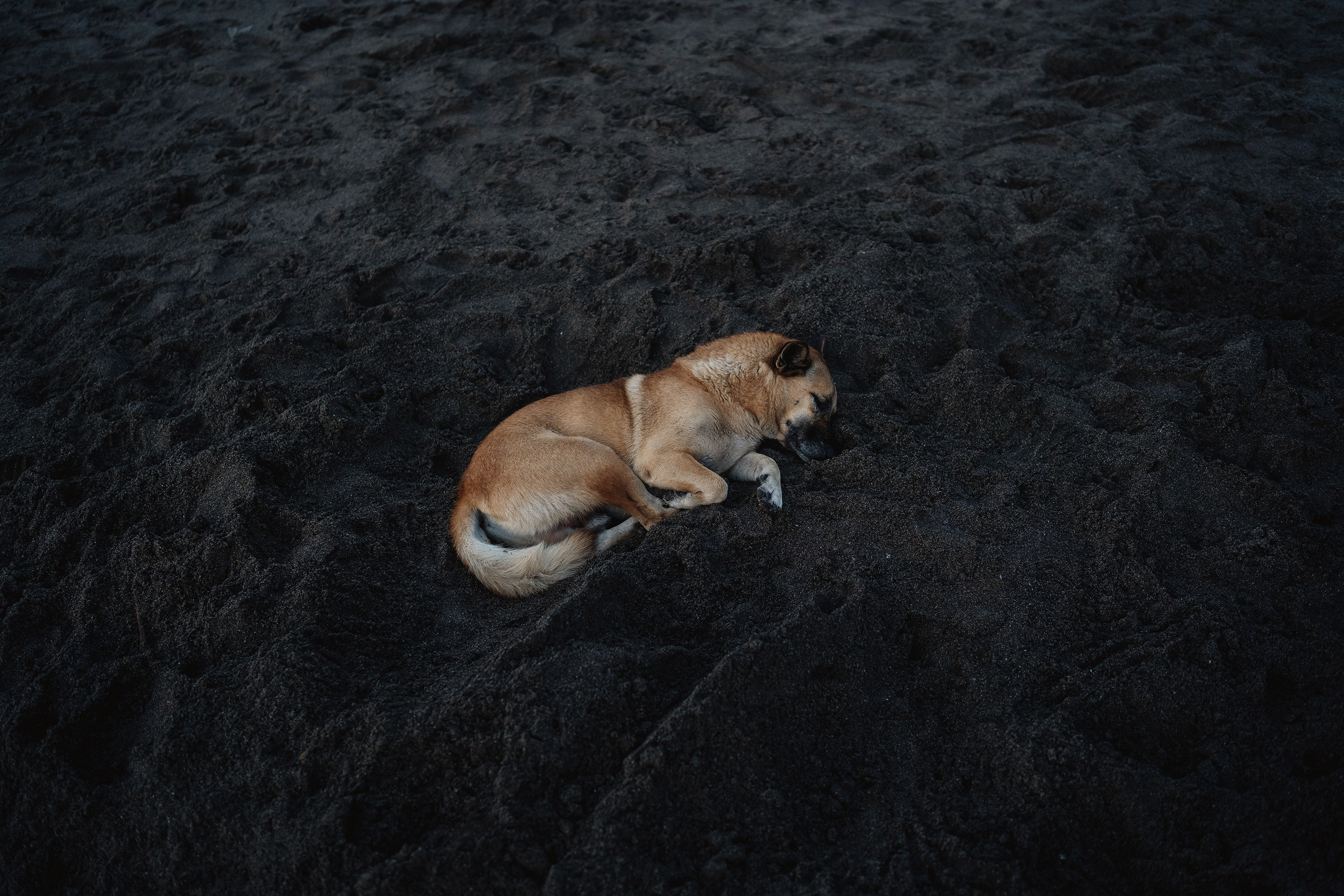 Бали. Фотограф Михаил Бурдель. Индустриальная, коммерческая и рекламная фотография