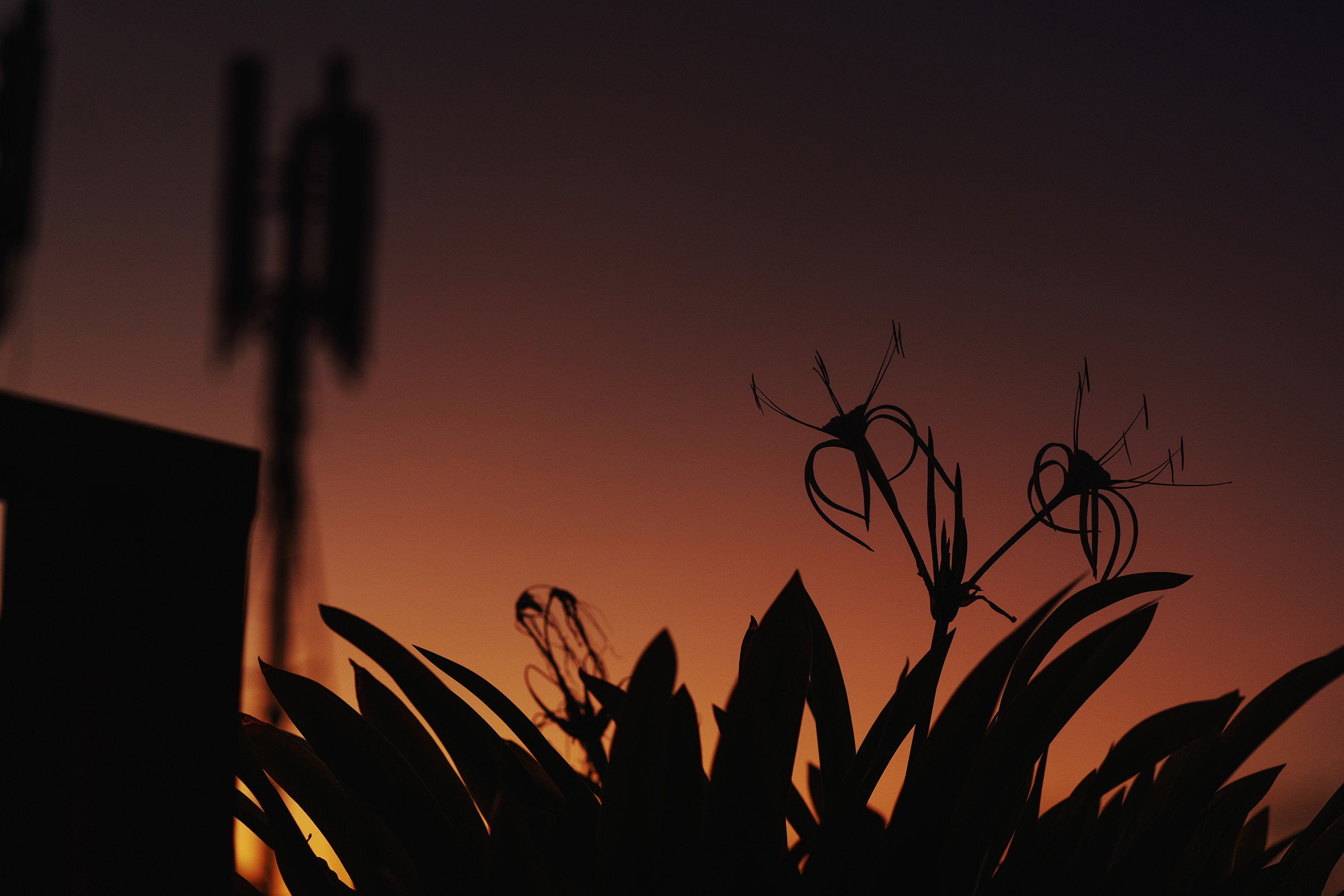 Бали. Фотограф Михаил Бурдель. Индустриальная, коммерческая и рекламная фотография