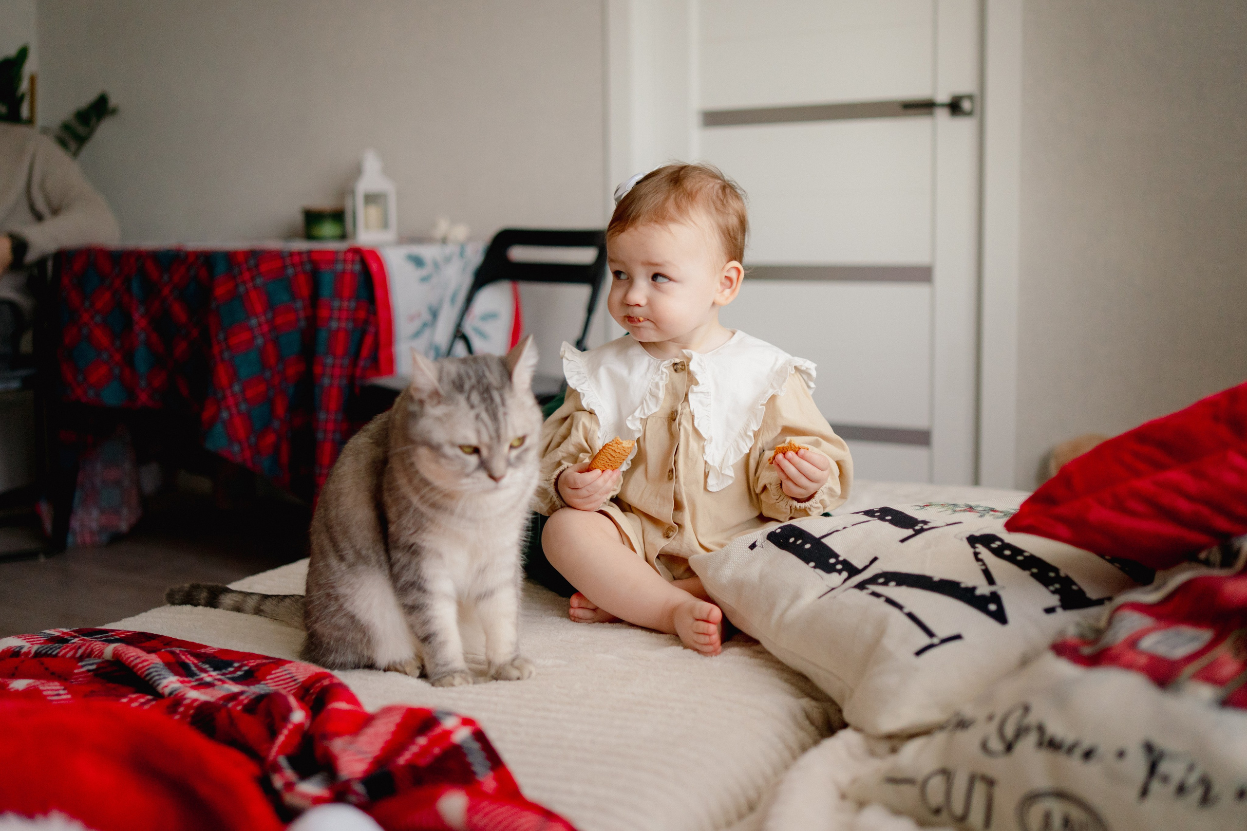Новогодние. Елена Луковская. Семейная, портретная, репоражная съёмка