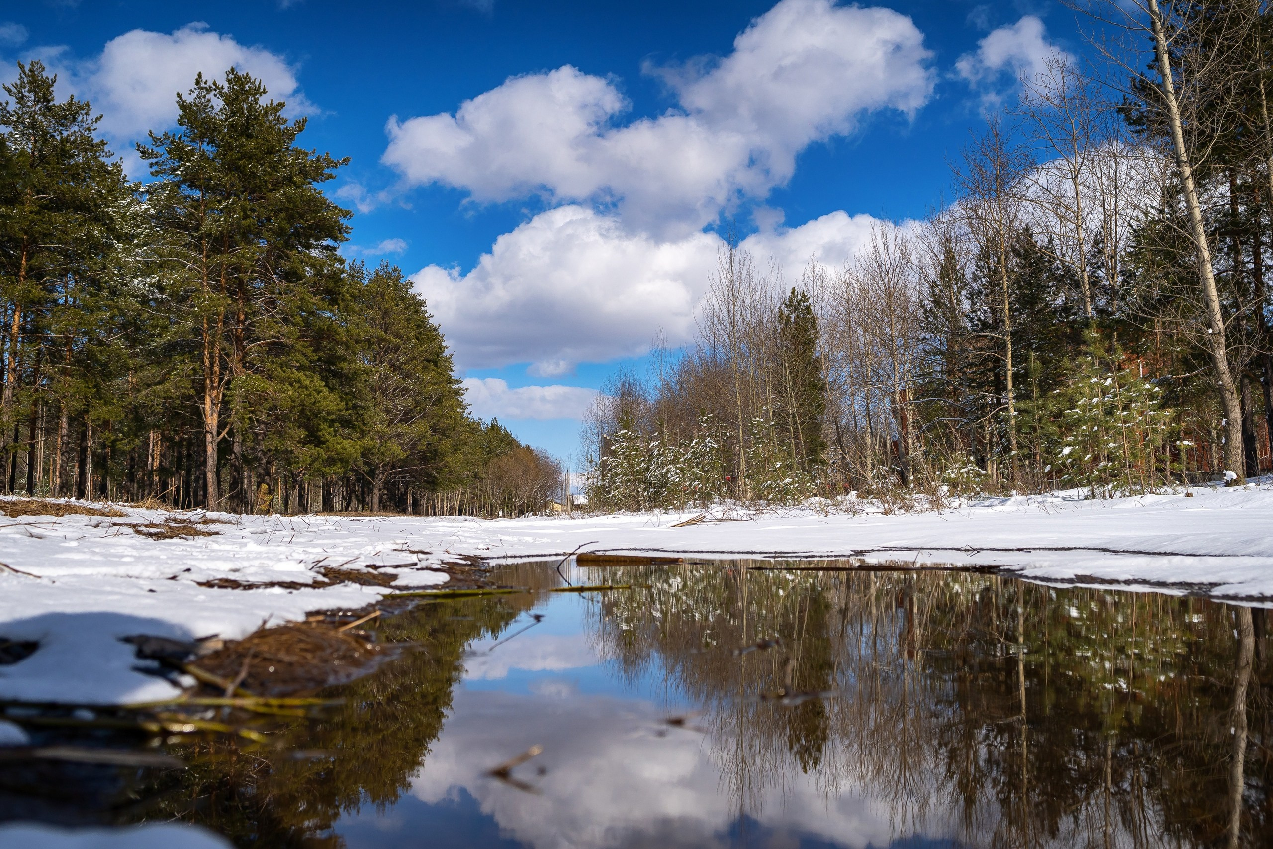 ФЕСС-ФОТО/ВИДЕО