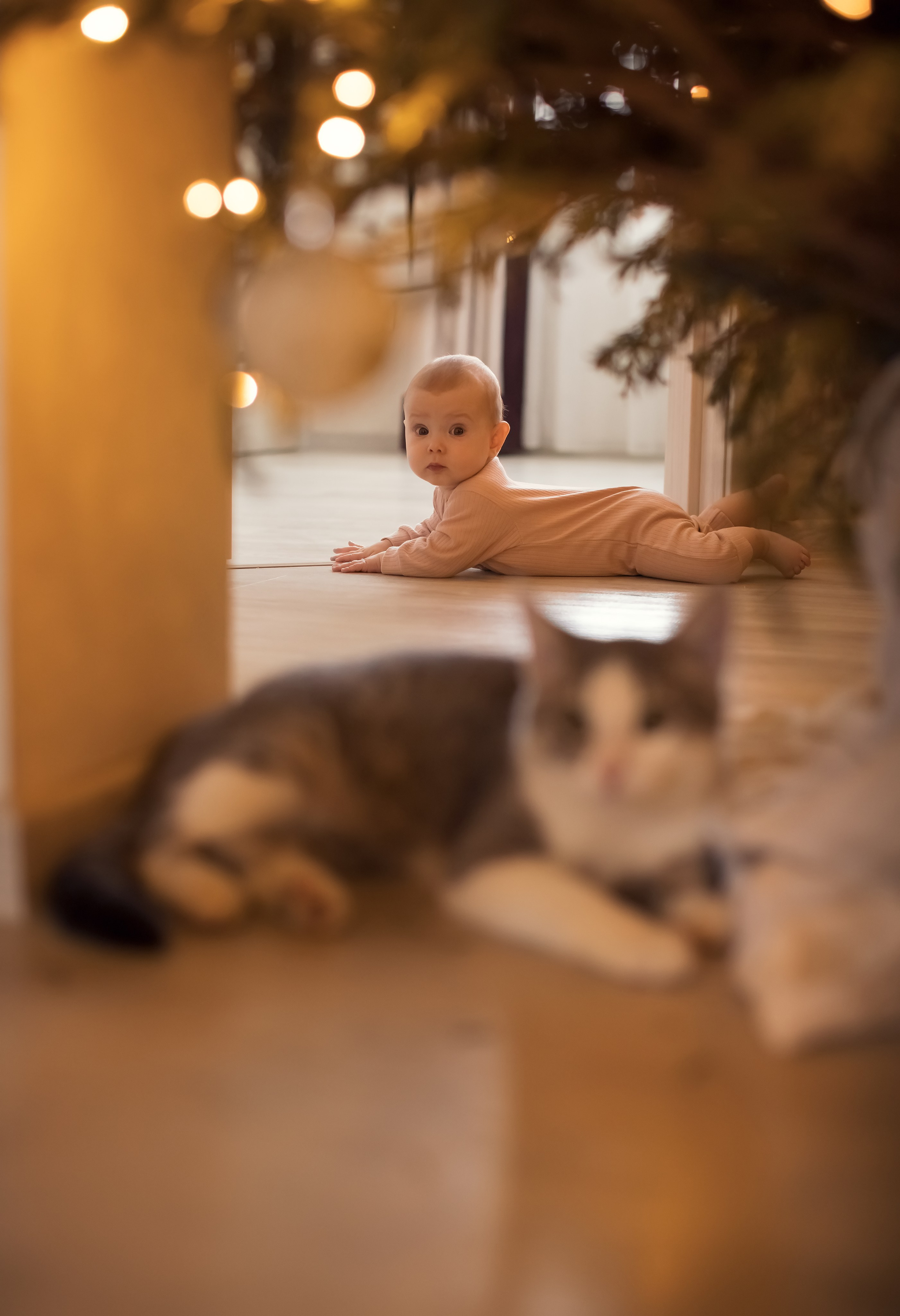 Теплое Рождество. Семейный и детский фотограф в Саратове Полина Коткина