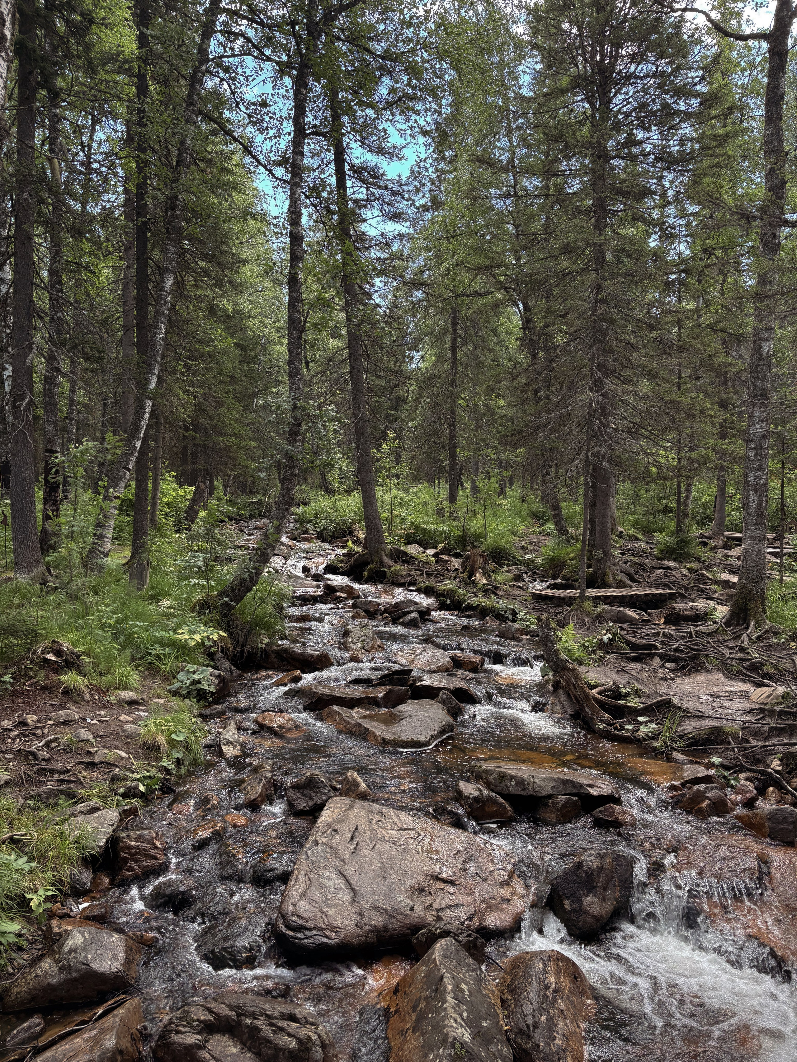 Тур на Иремель из Уфы — Время Приключений