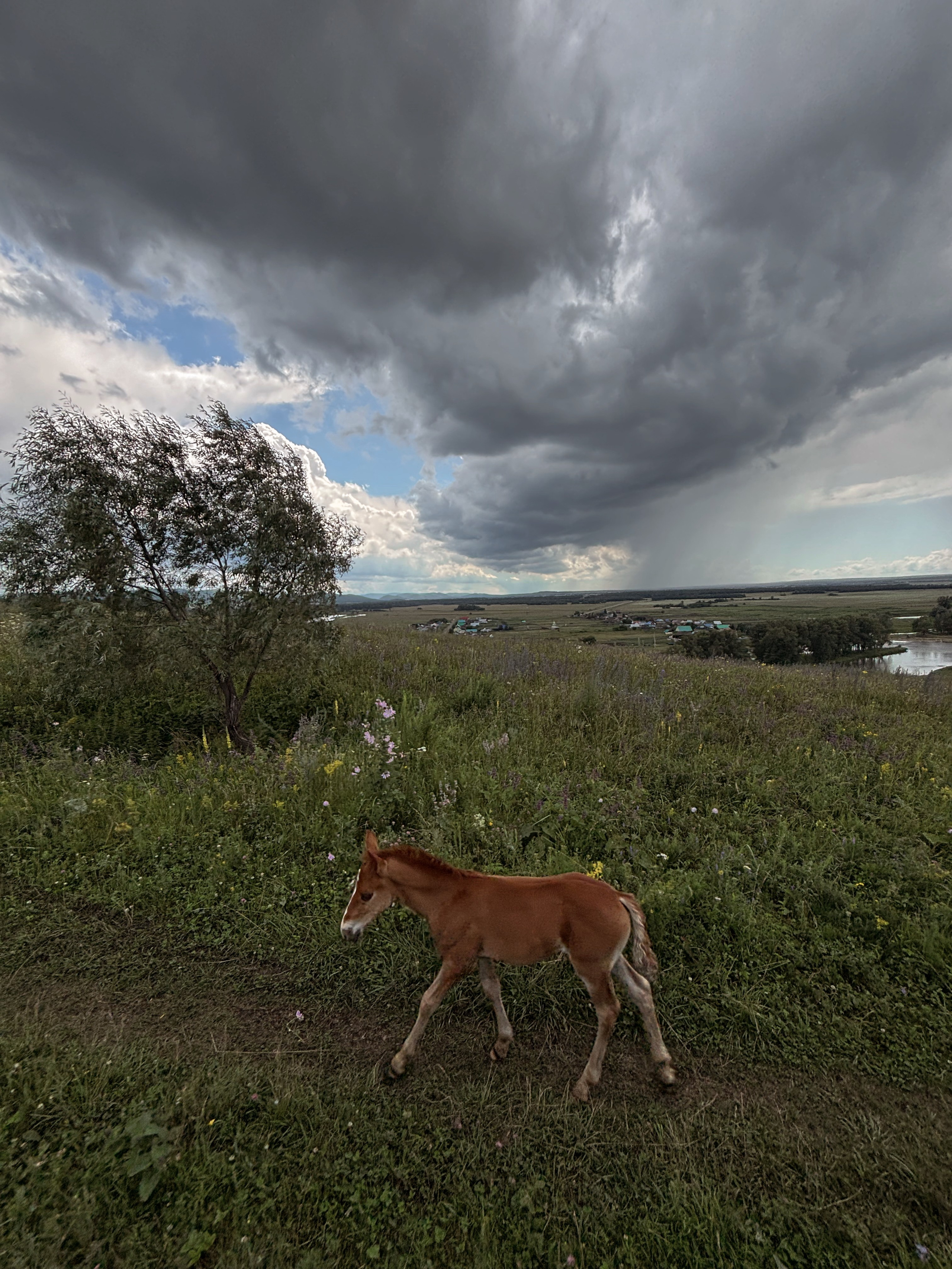 Фото с конных туров — Время приключений