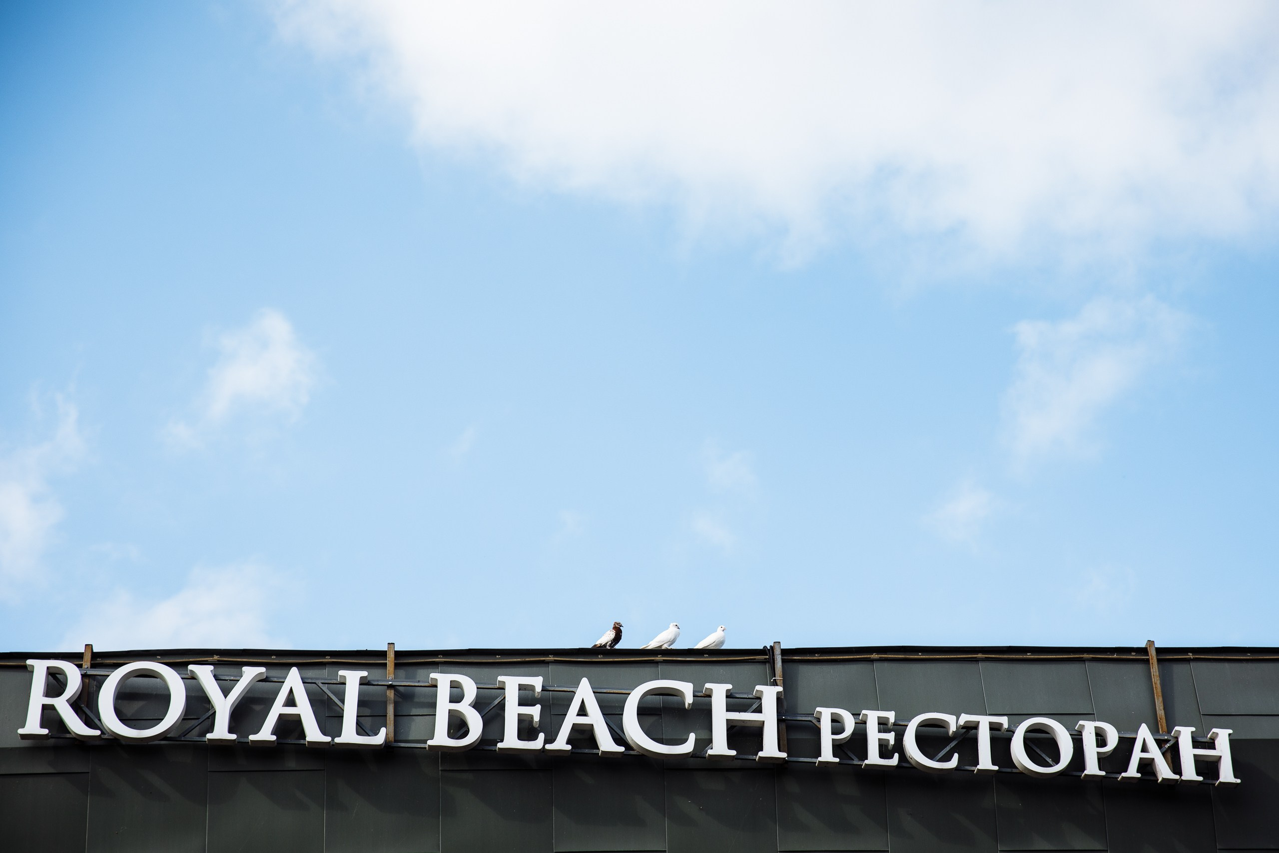 Август в городе. Главная