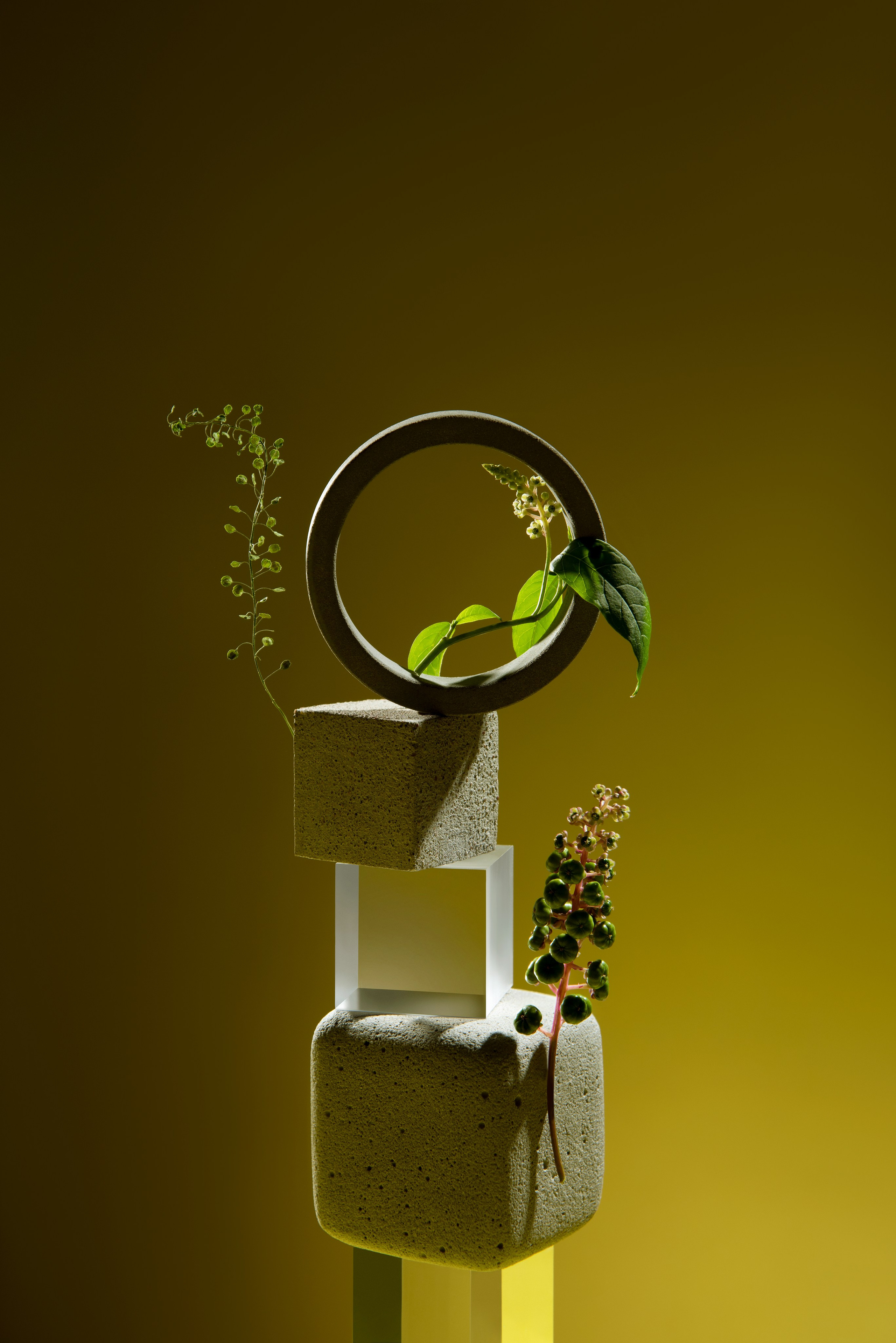 Личные проекты. Предметная фотография