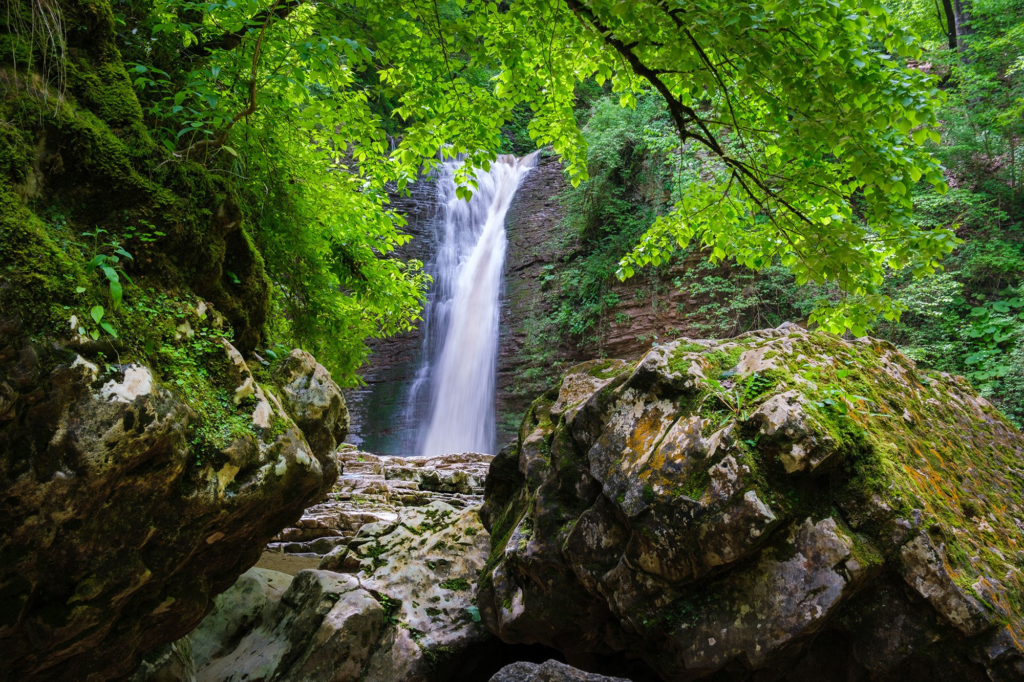 Свадебный фотограф в Геленджике