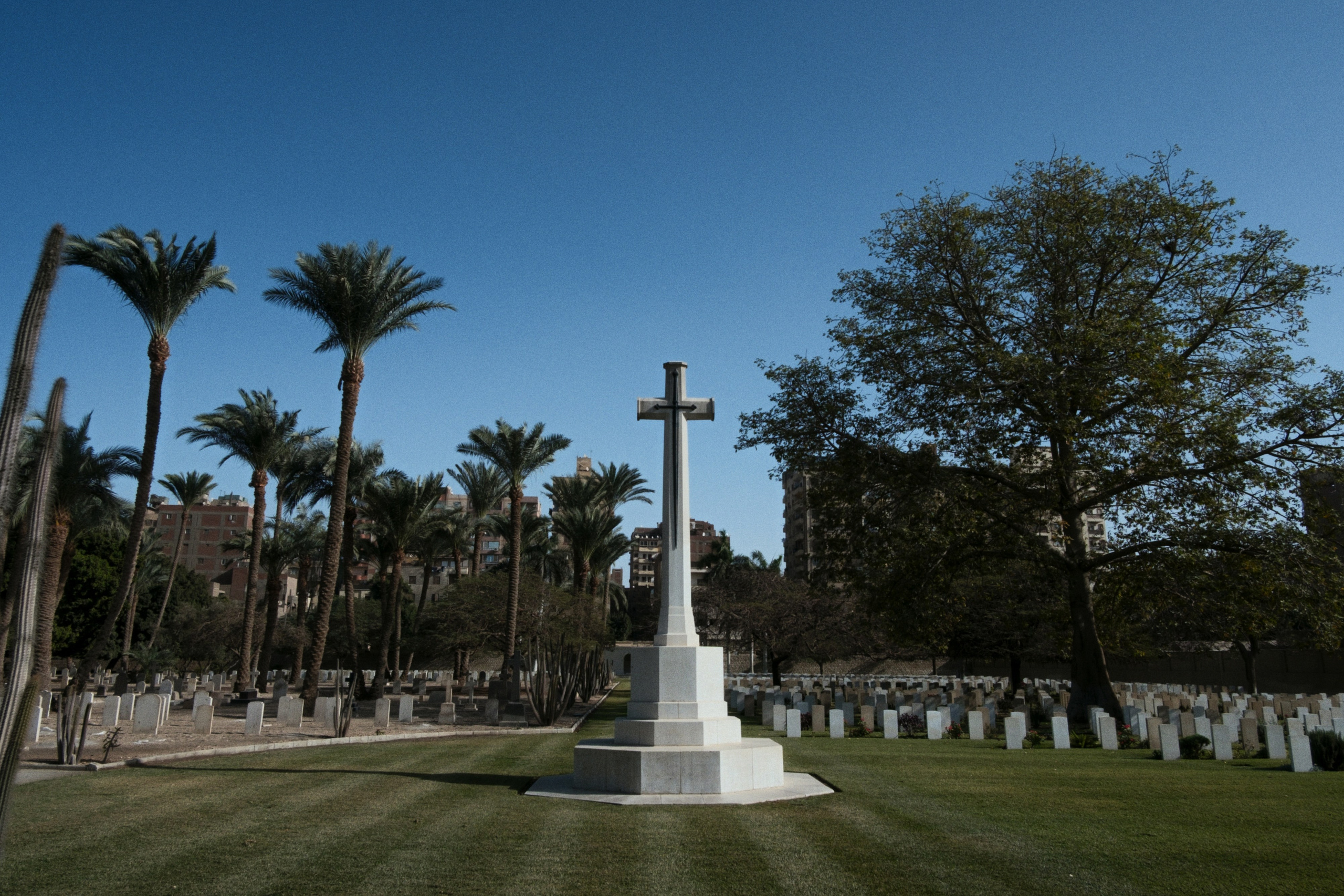 War Memorial Cemetery / Cairo, Egypt AW25. Фотограф Юрин Евгений