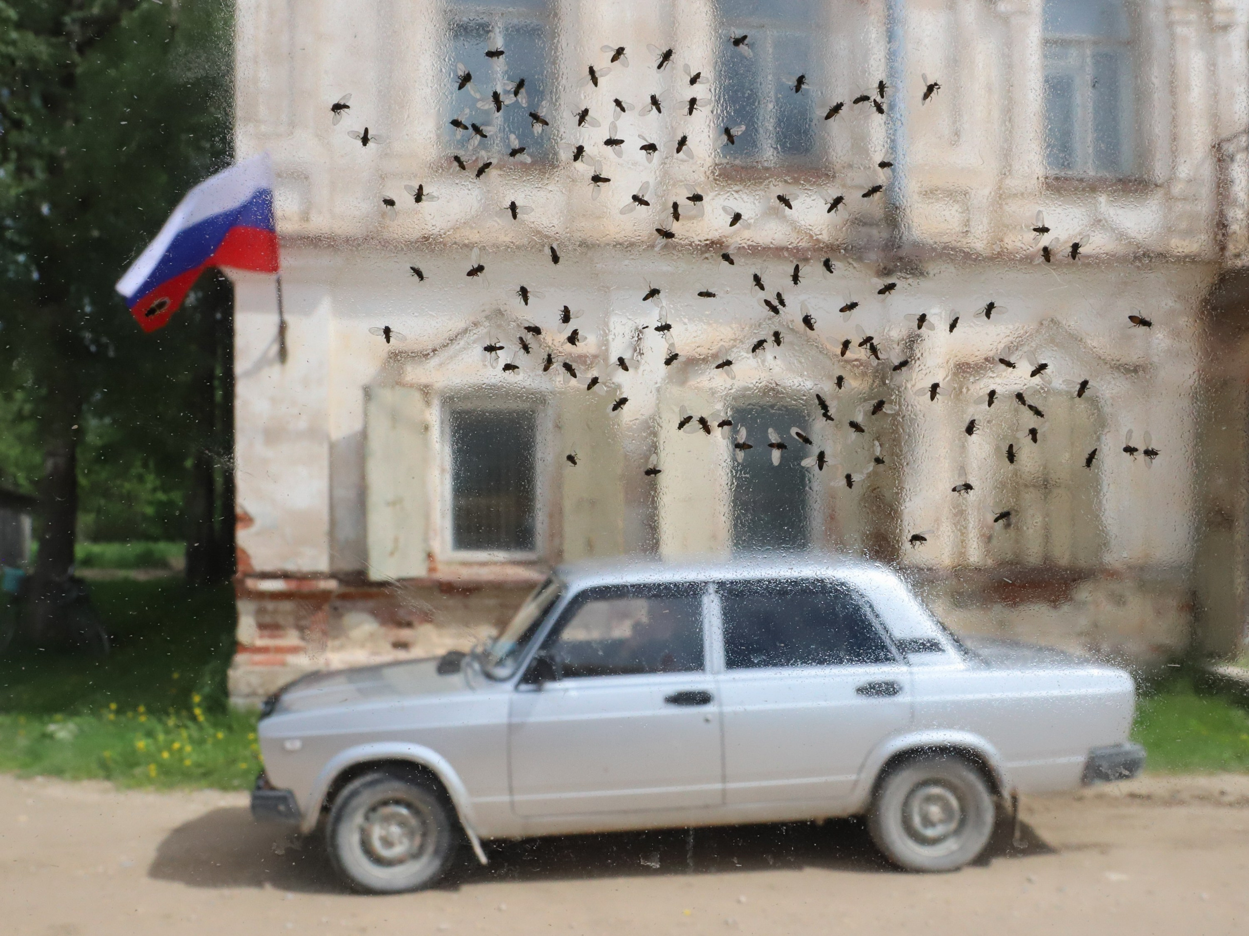 Каргополь. Марина Мамонтова, фотограф в Санкт-Петербурге